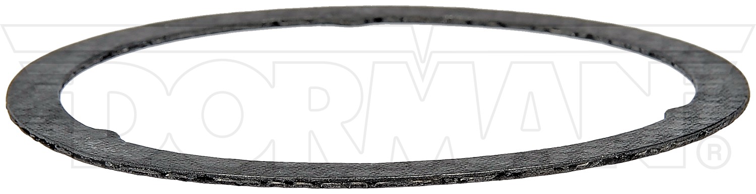 Exhaust Pipe Gasket