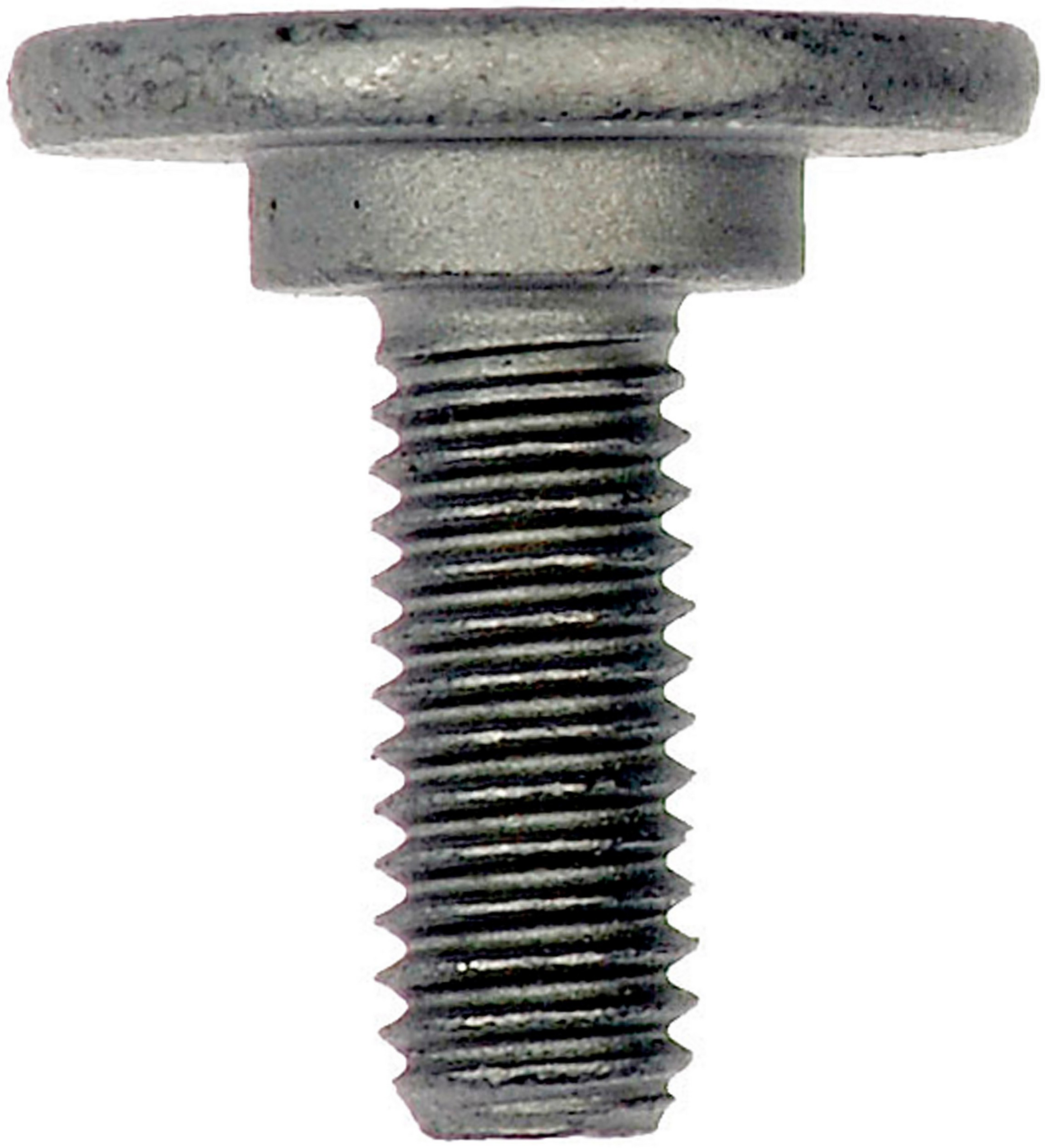 Splash Shield Bolt - Phillips Drive - M6-1.0 X 14.75Mm