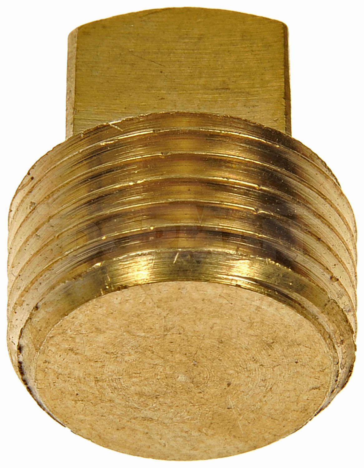 Brass Pipe Plug - Square Head - 3/8 In. MNPT