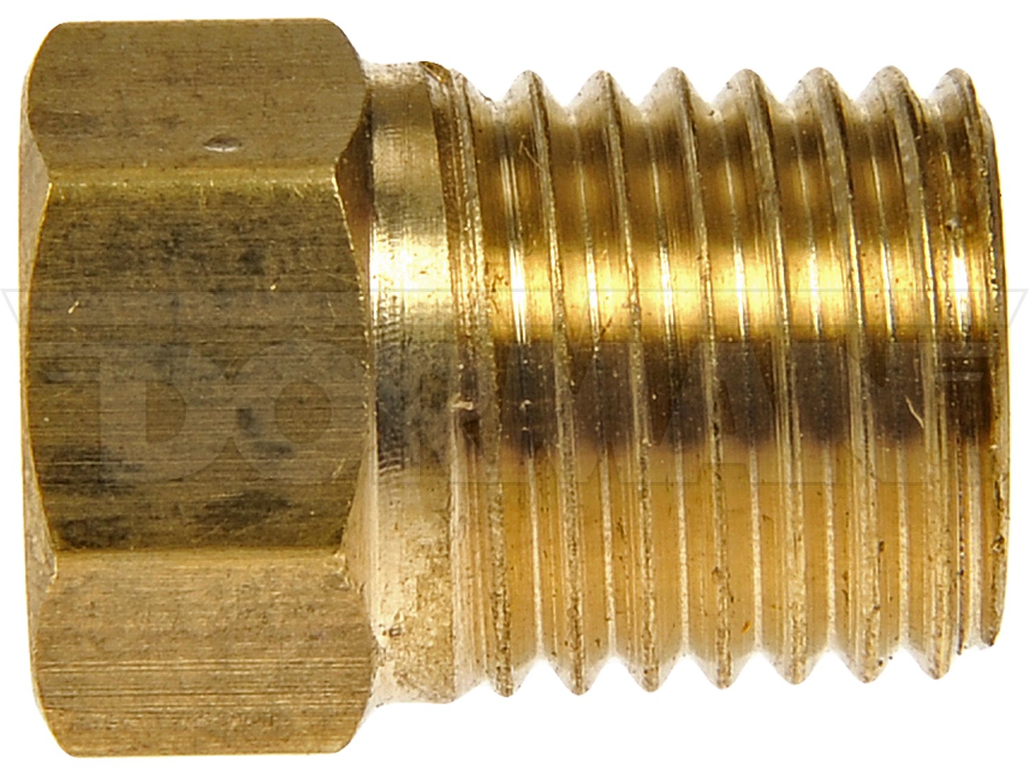 Brass Tube Nut - Inverted Flare - 3/16 In.