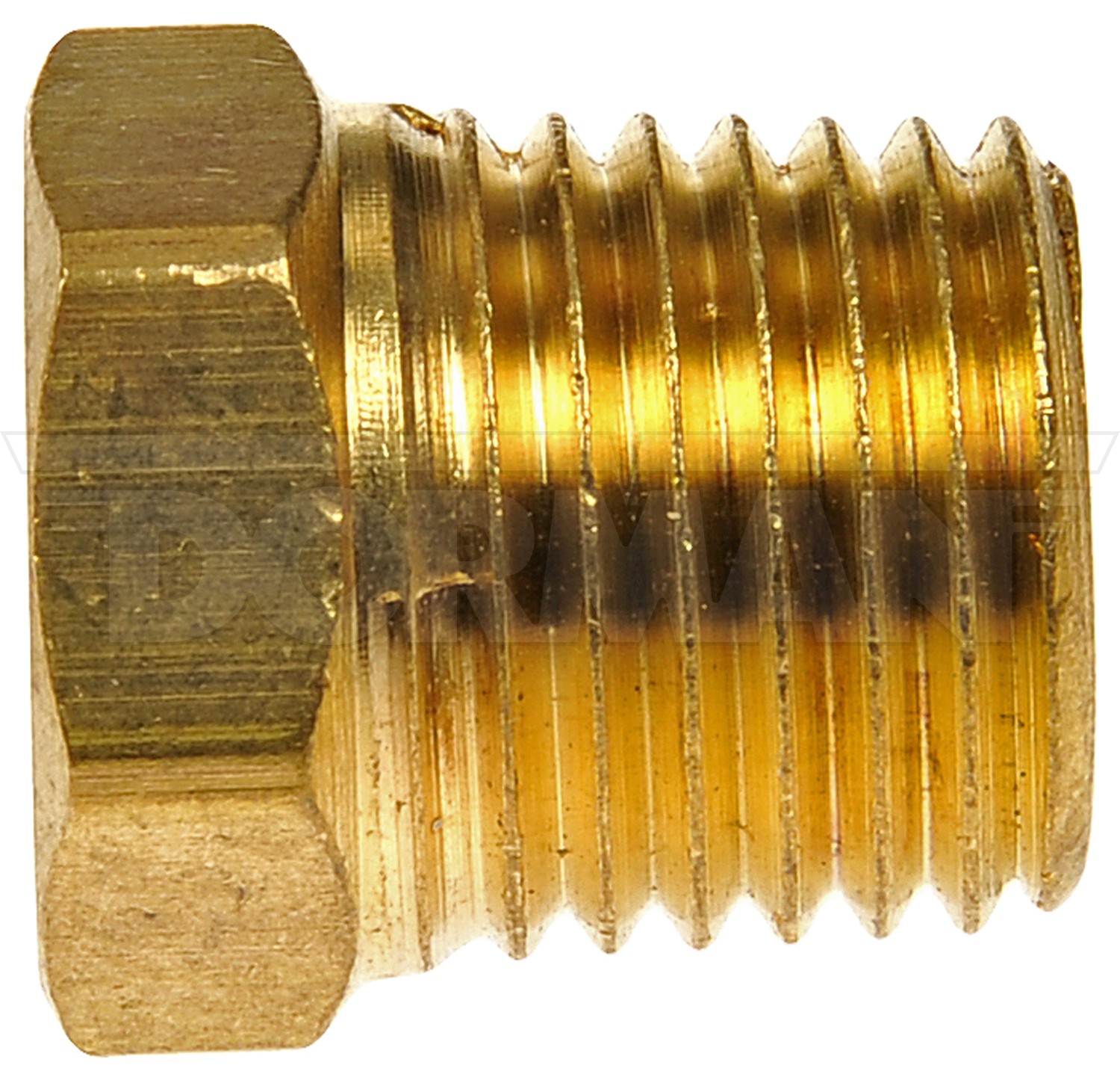 Brass Pipe Plug - Hex Head - 1/4 In. MNPT
