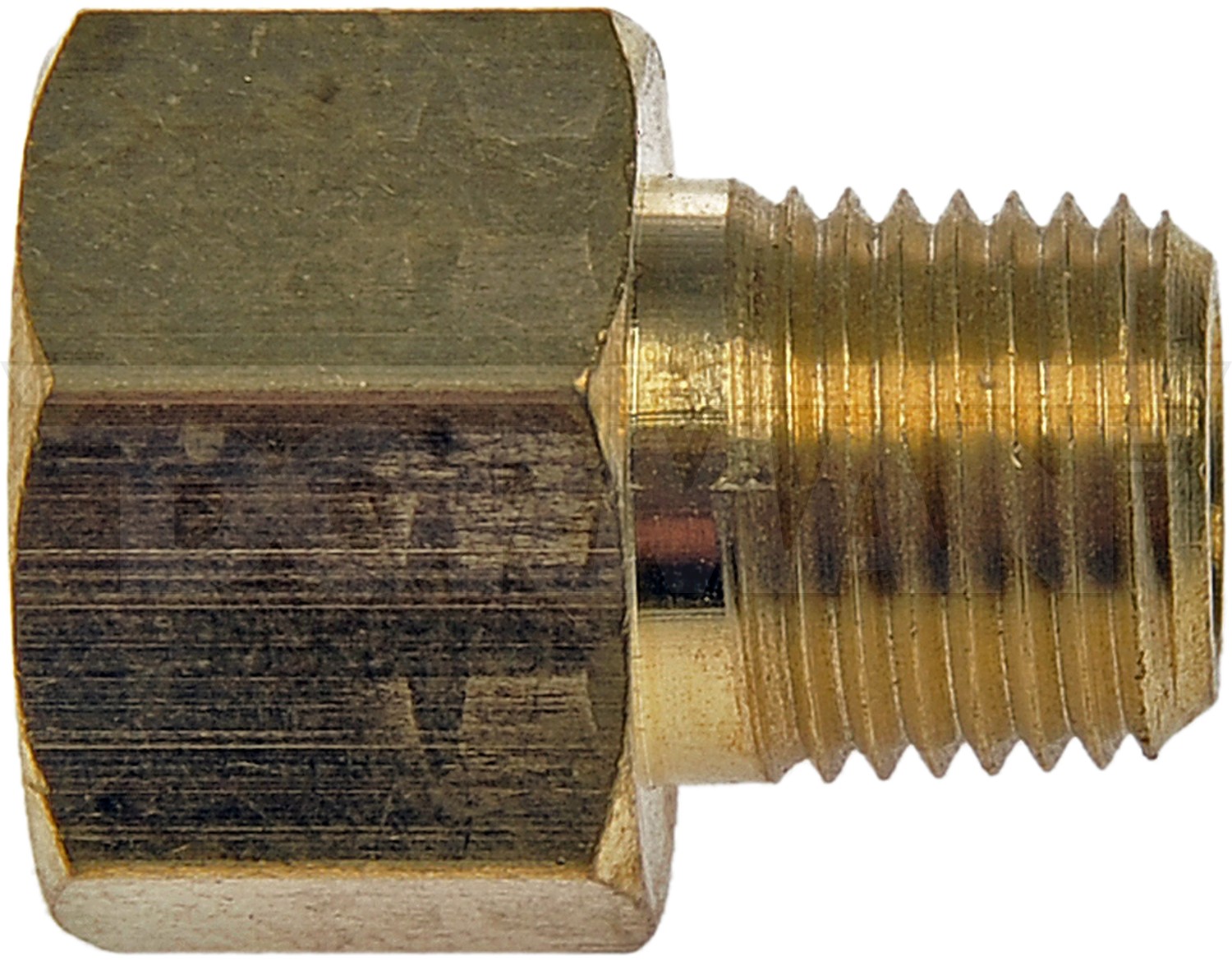 Inverted Flare Fitting-Male Connector-5/16 In. X 1/8 In. MNPT