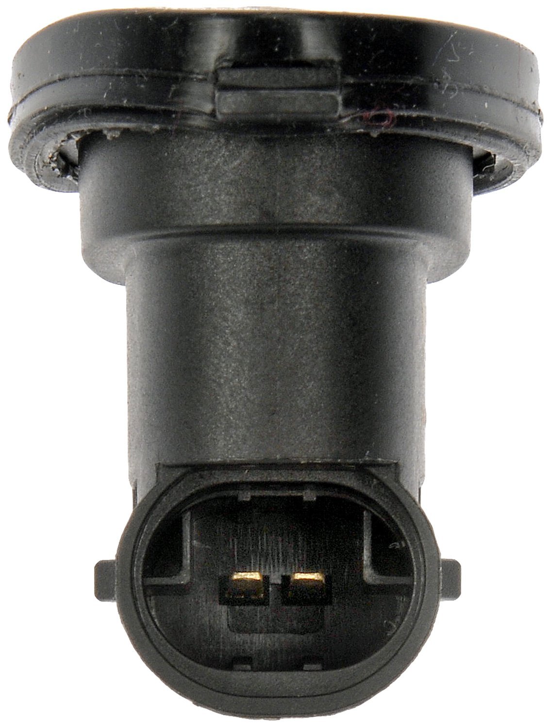 Tailgate Release Switch