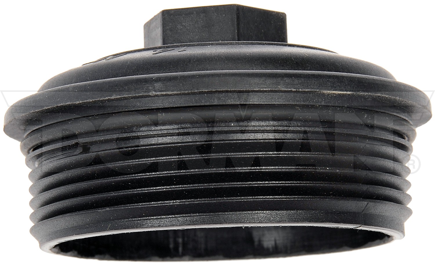 Fuel Filter Cap And Gasket