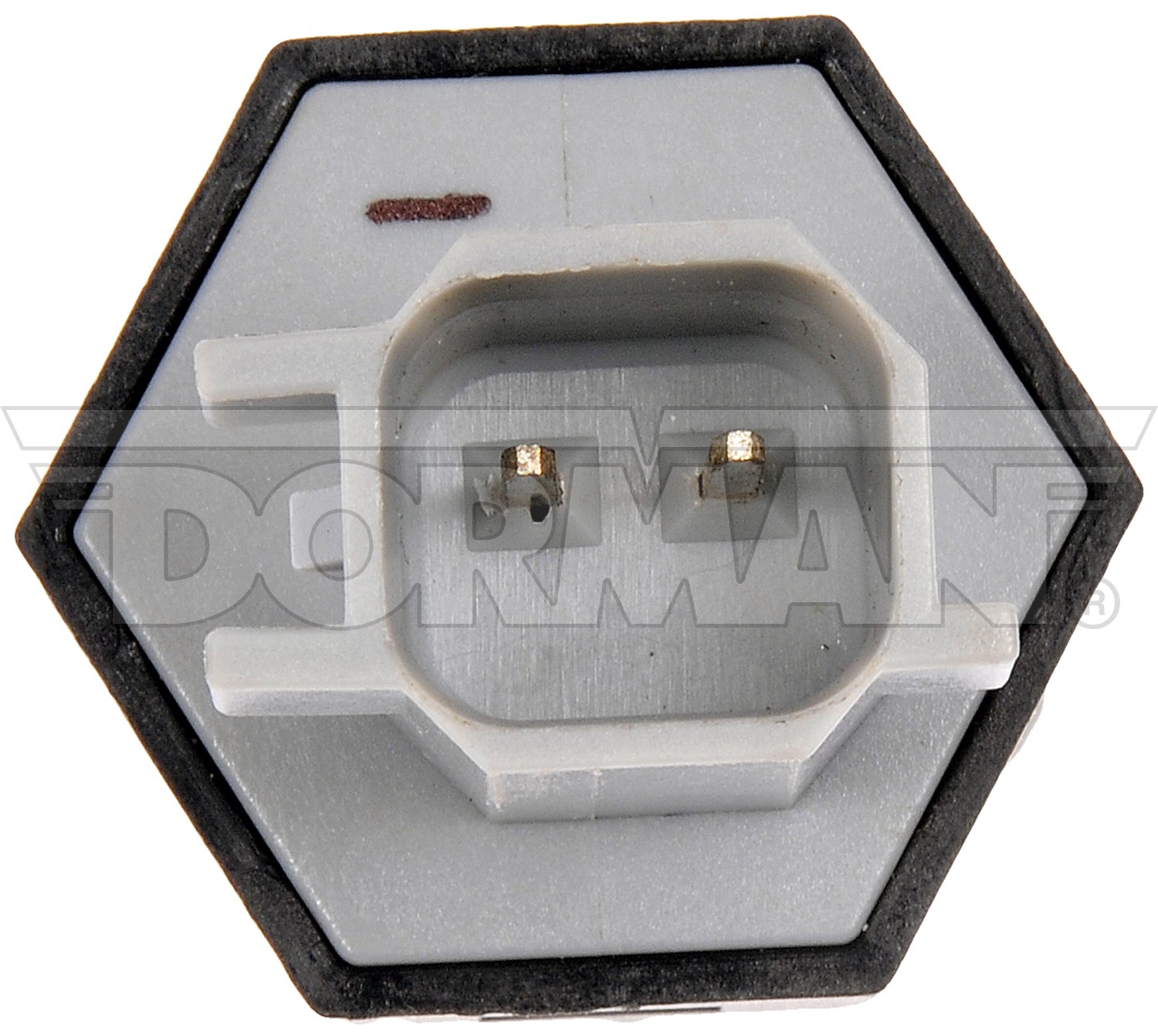 Water In Fuel Sensor Assembly