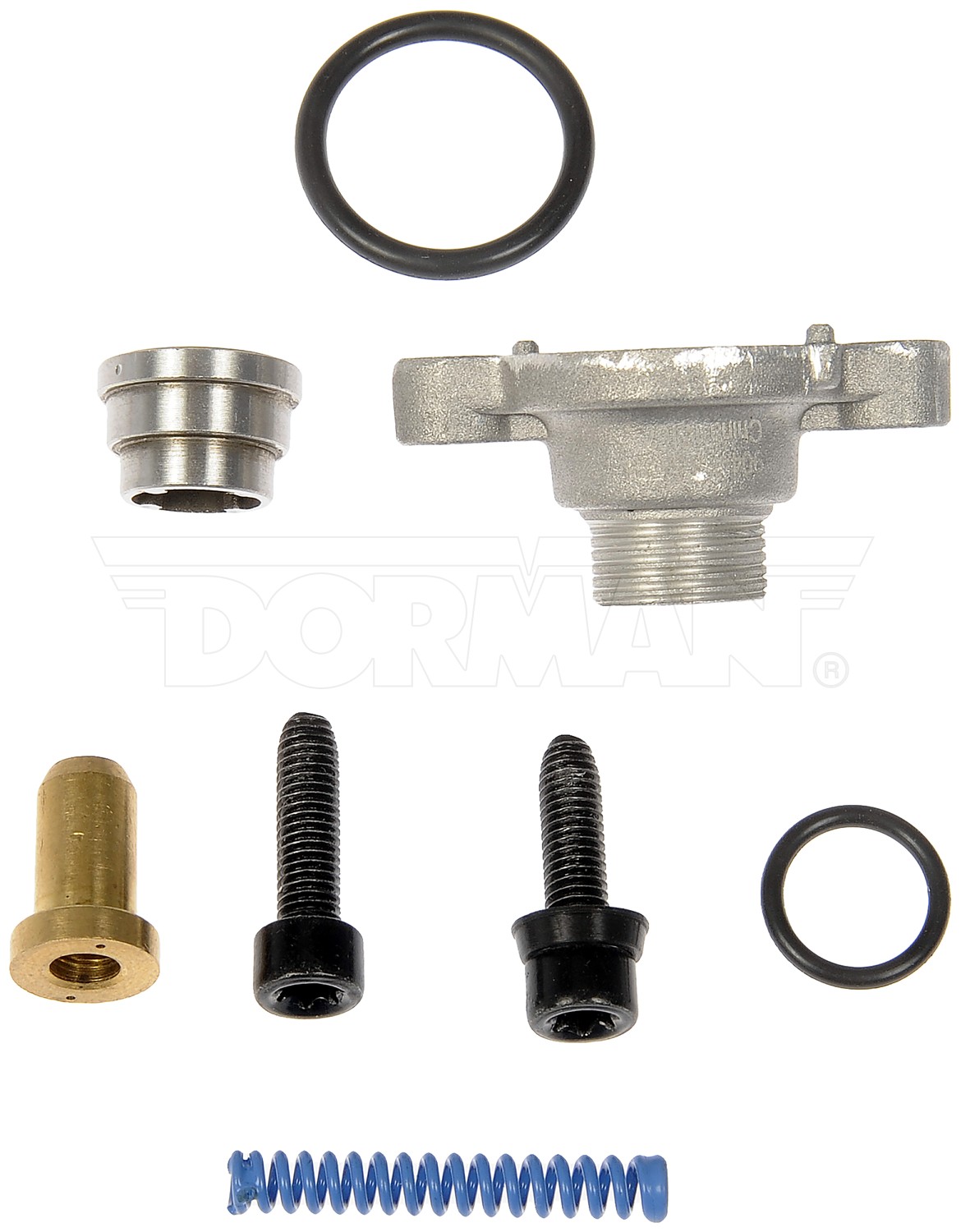 Fuel Pressure Regulator Valve Kit