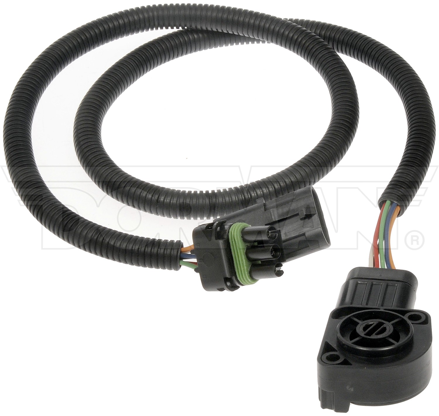 Throttle Position Sensor