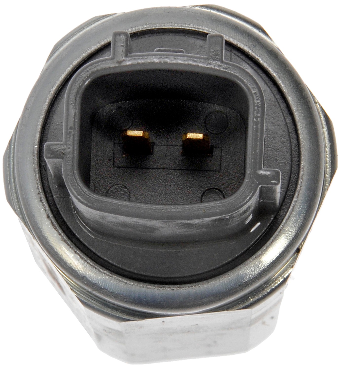 Variable Valve Timing Solenoid
