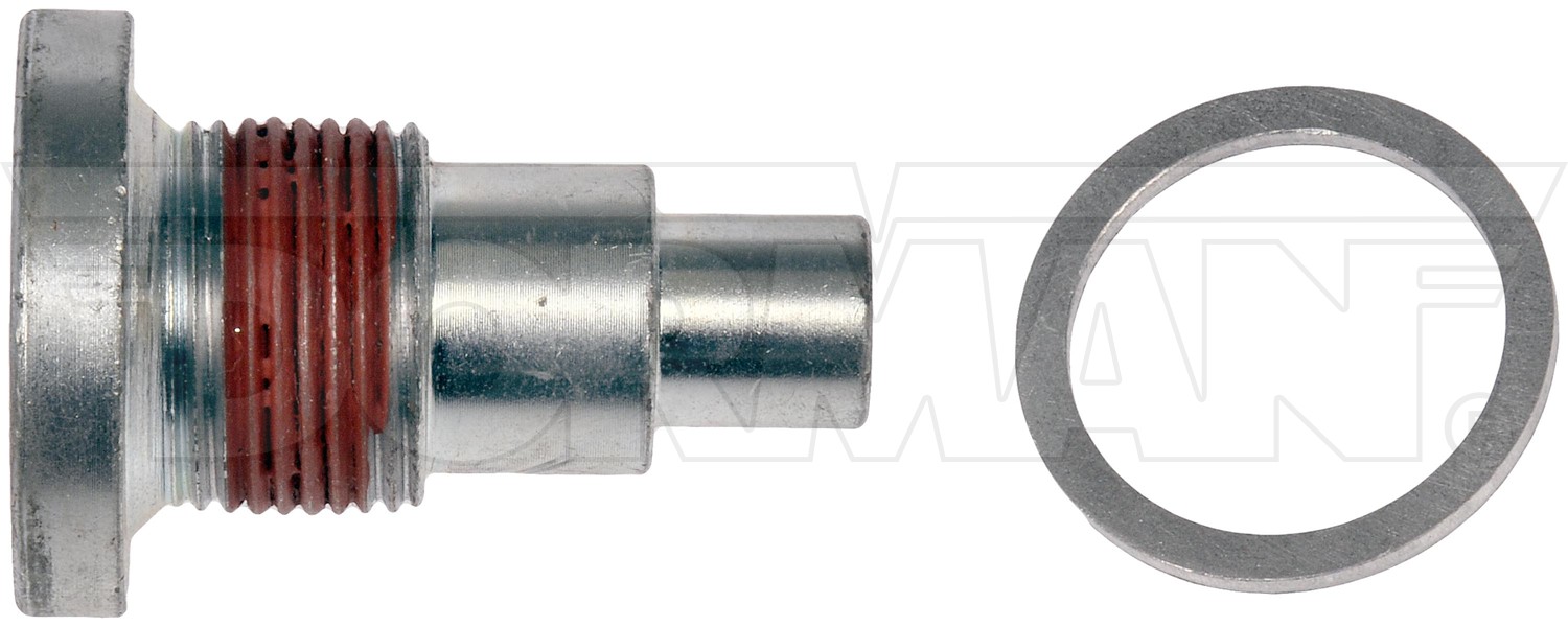 Timing Chain Guide Bolt
