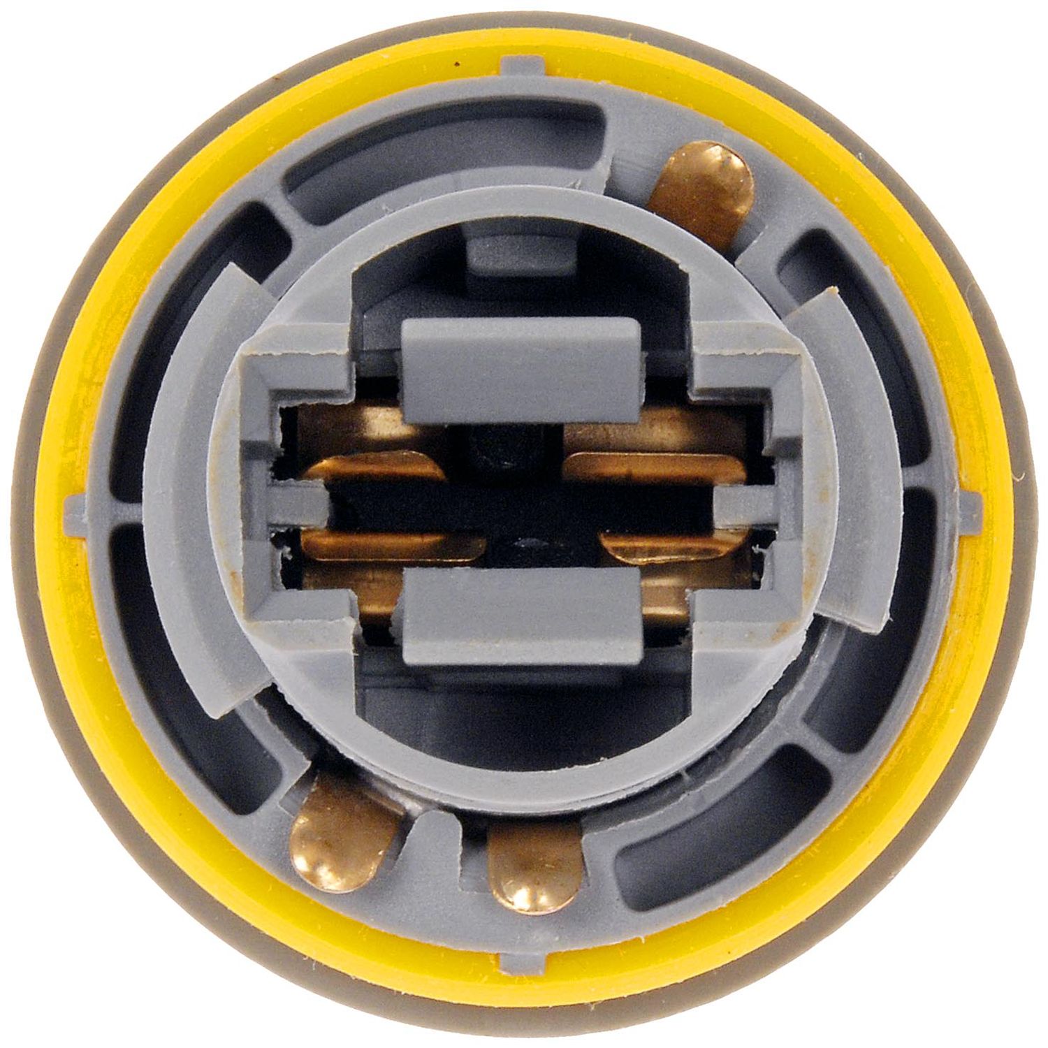 Tail Lamp Socket
