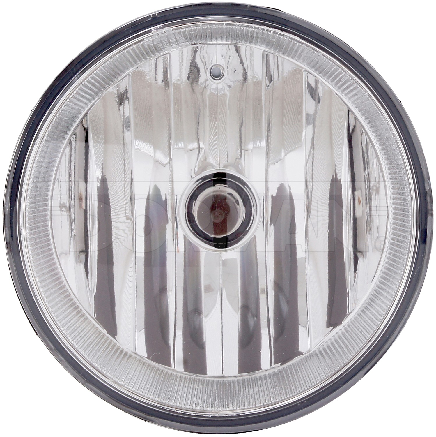 Fog Light Assembly