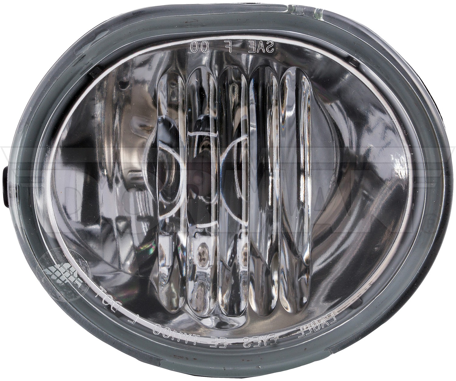 Fog Light Assembly