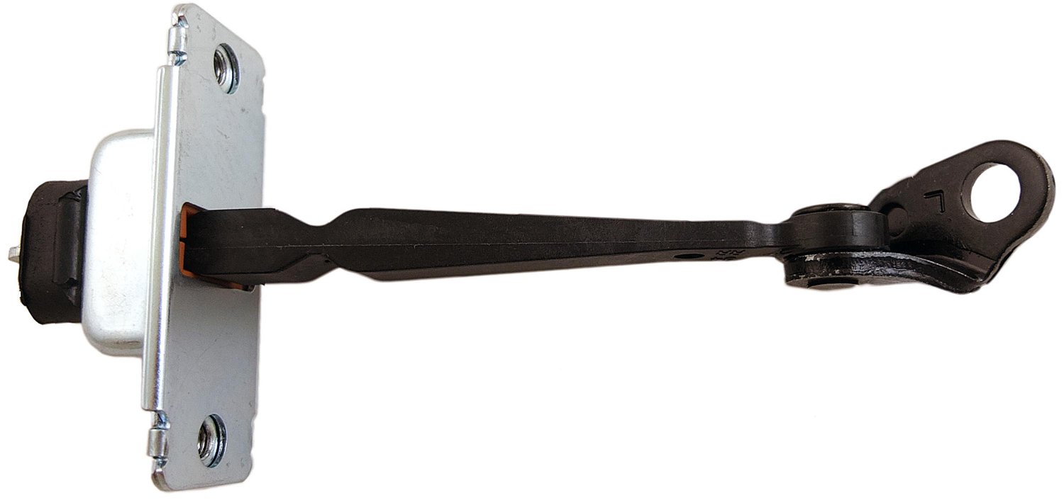 Door Check Assembly - Rear Left