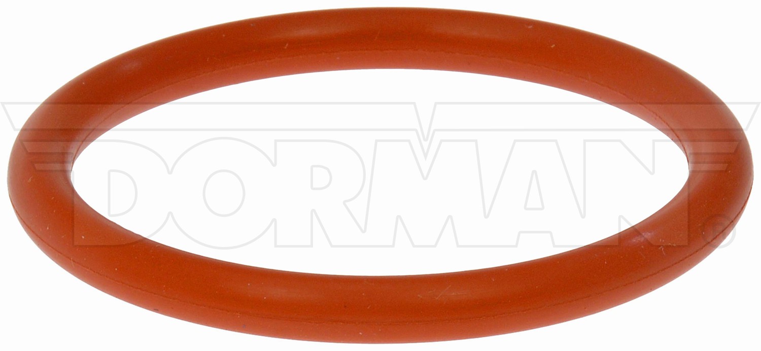 Lower Radiator Hose O-Ring Kit