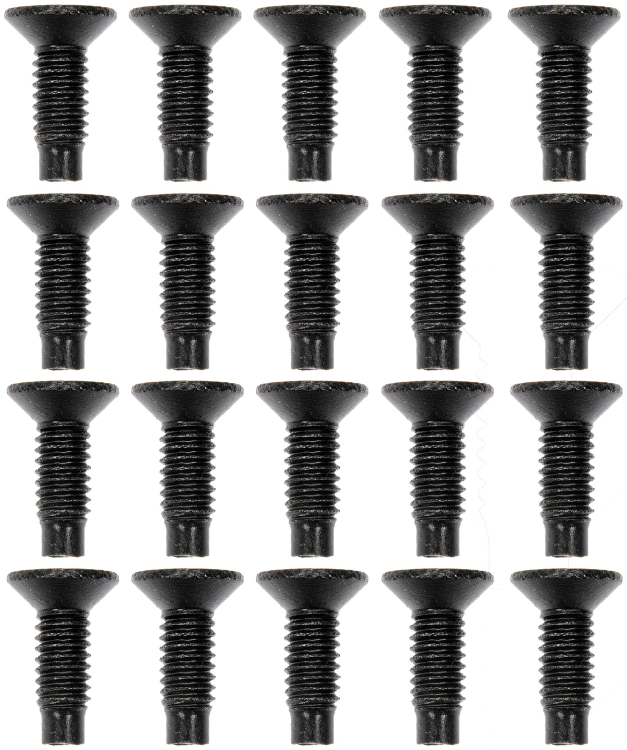 Door Hinge Screw Kit
