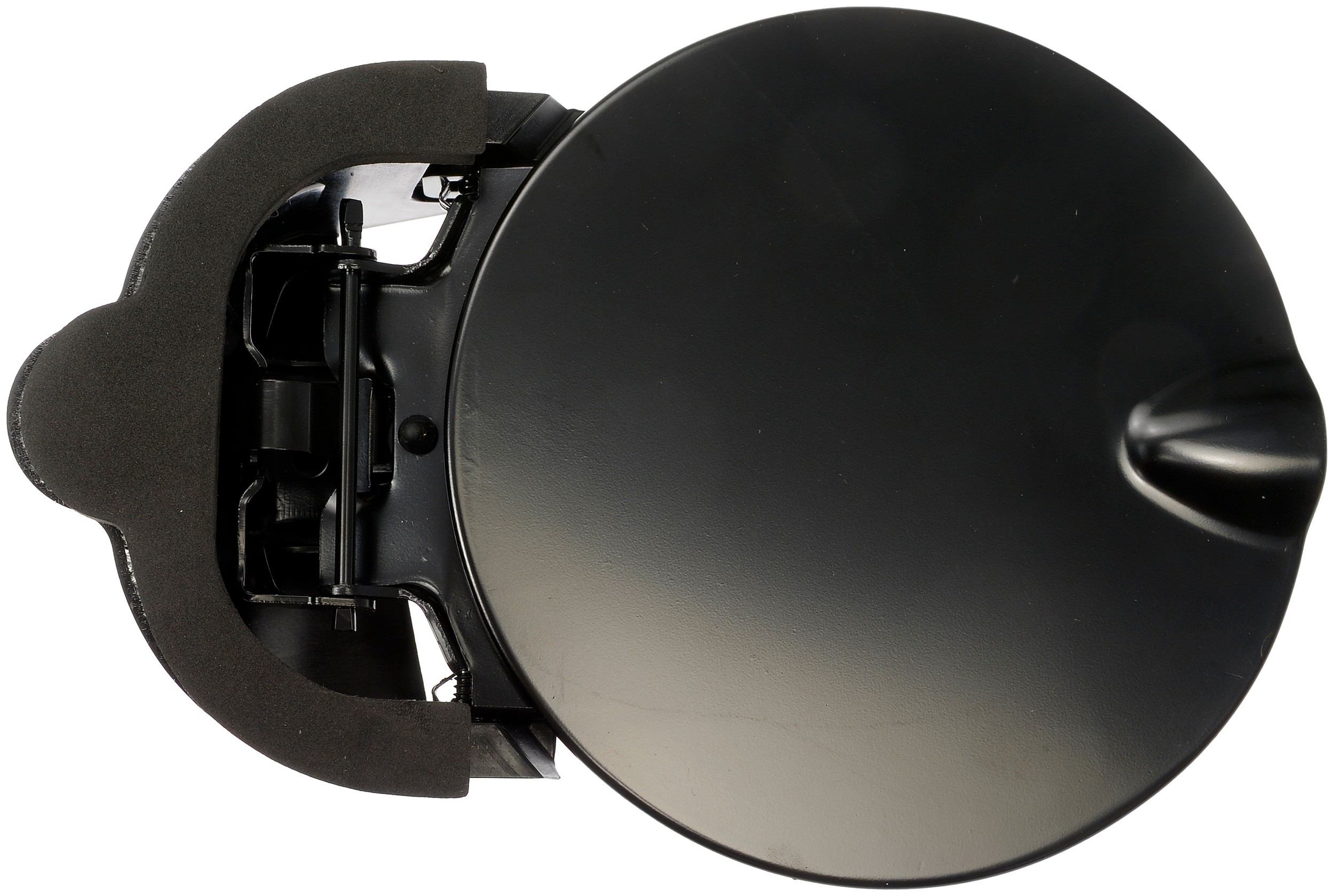 Fuel Door And Hinge Assembly