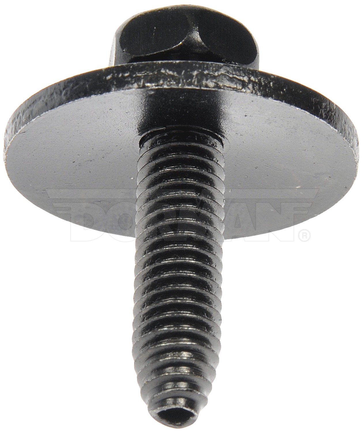 Body Bolt - M6-1.0 X 25mm