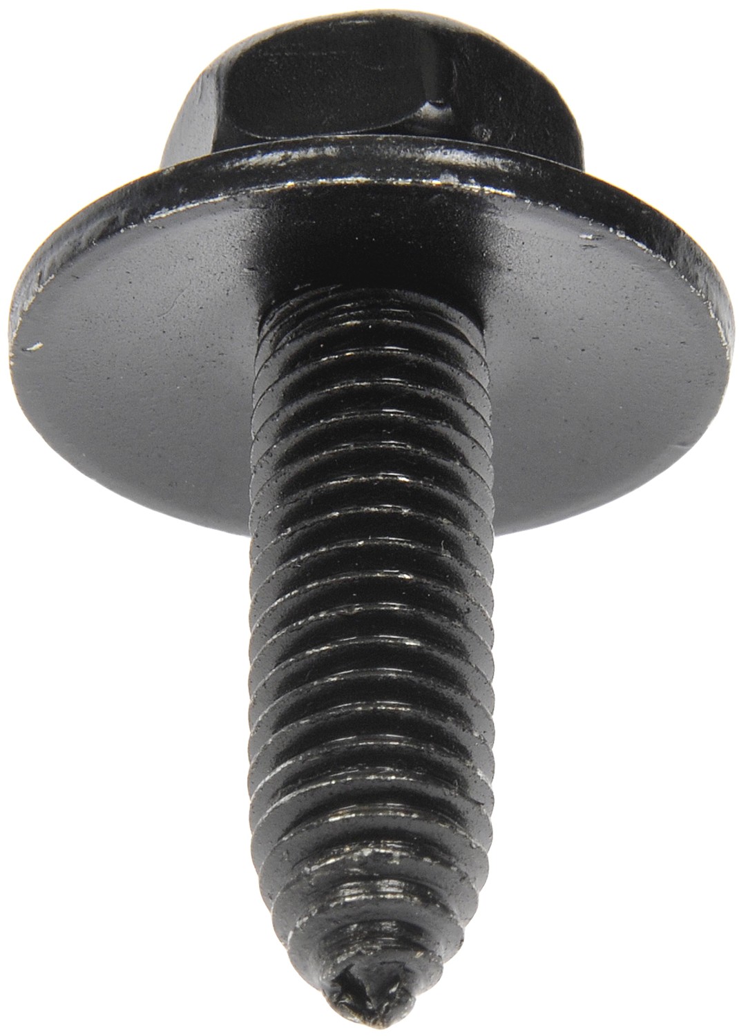 Body Bolts - M8-1.25 x 30mm