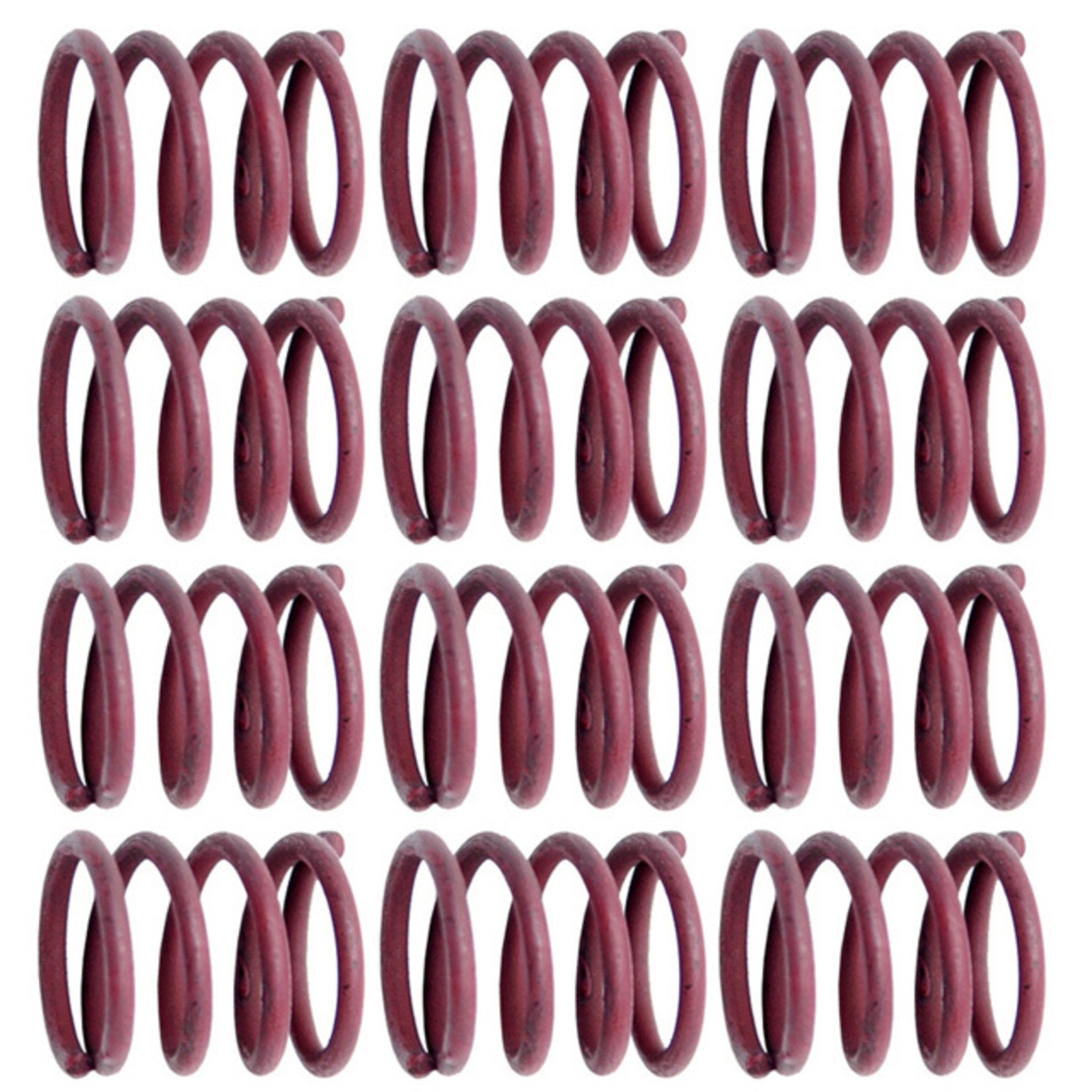 Raybestos R-Line Hold Down Spring