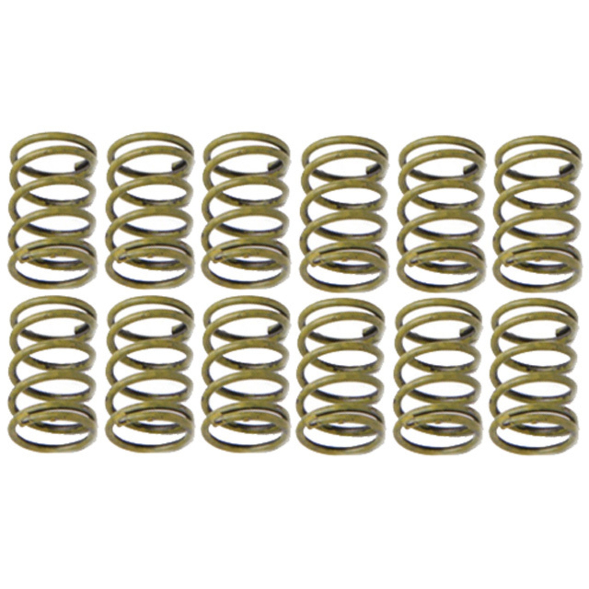 Raybestos R-Line Hold Down Spring