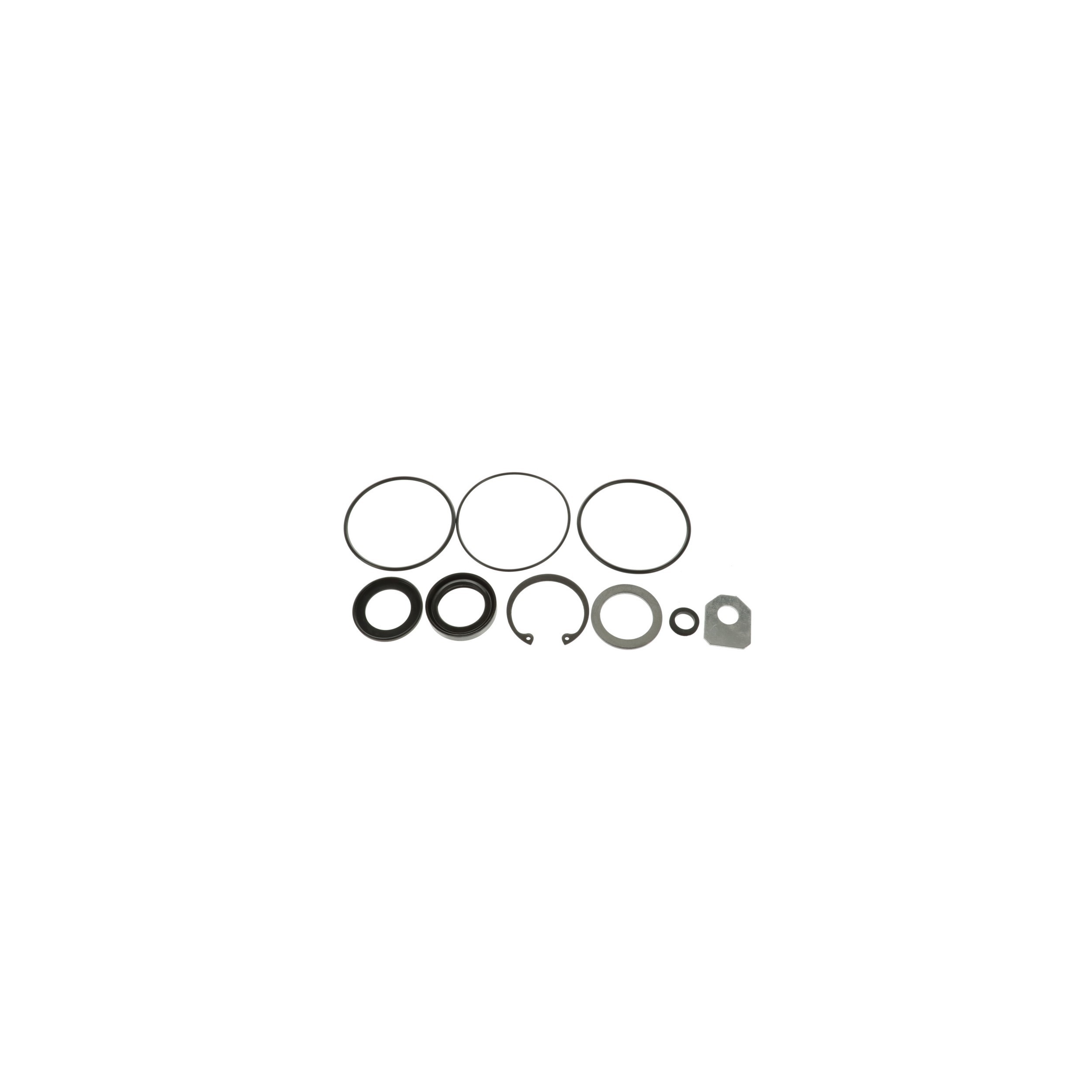 Steering Gear Pitman Shaft Seal Kit