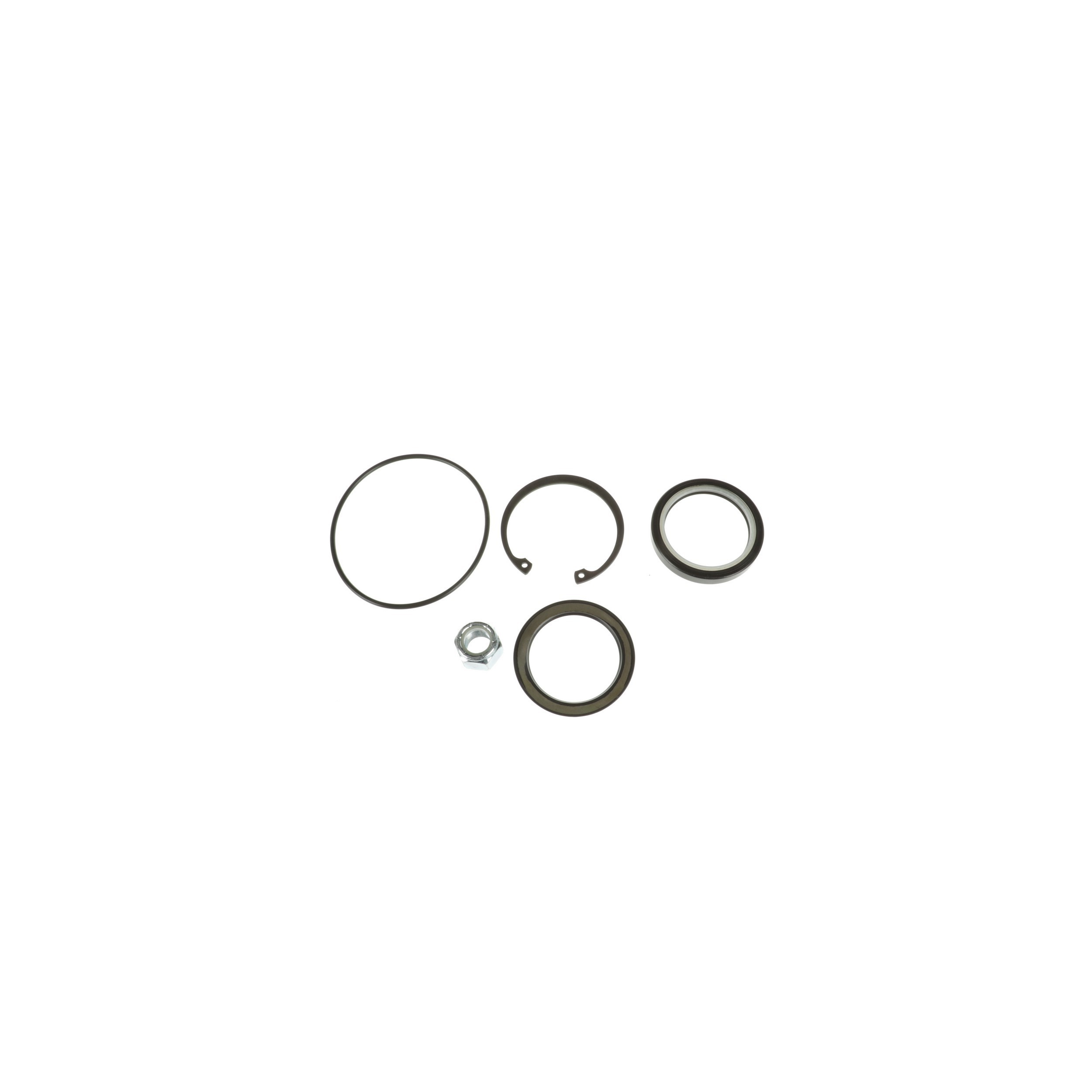 Steering Gear Pitman Shaft Seal Kit