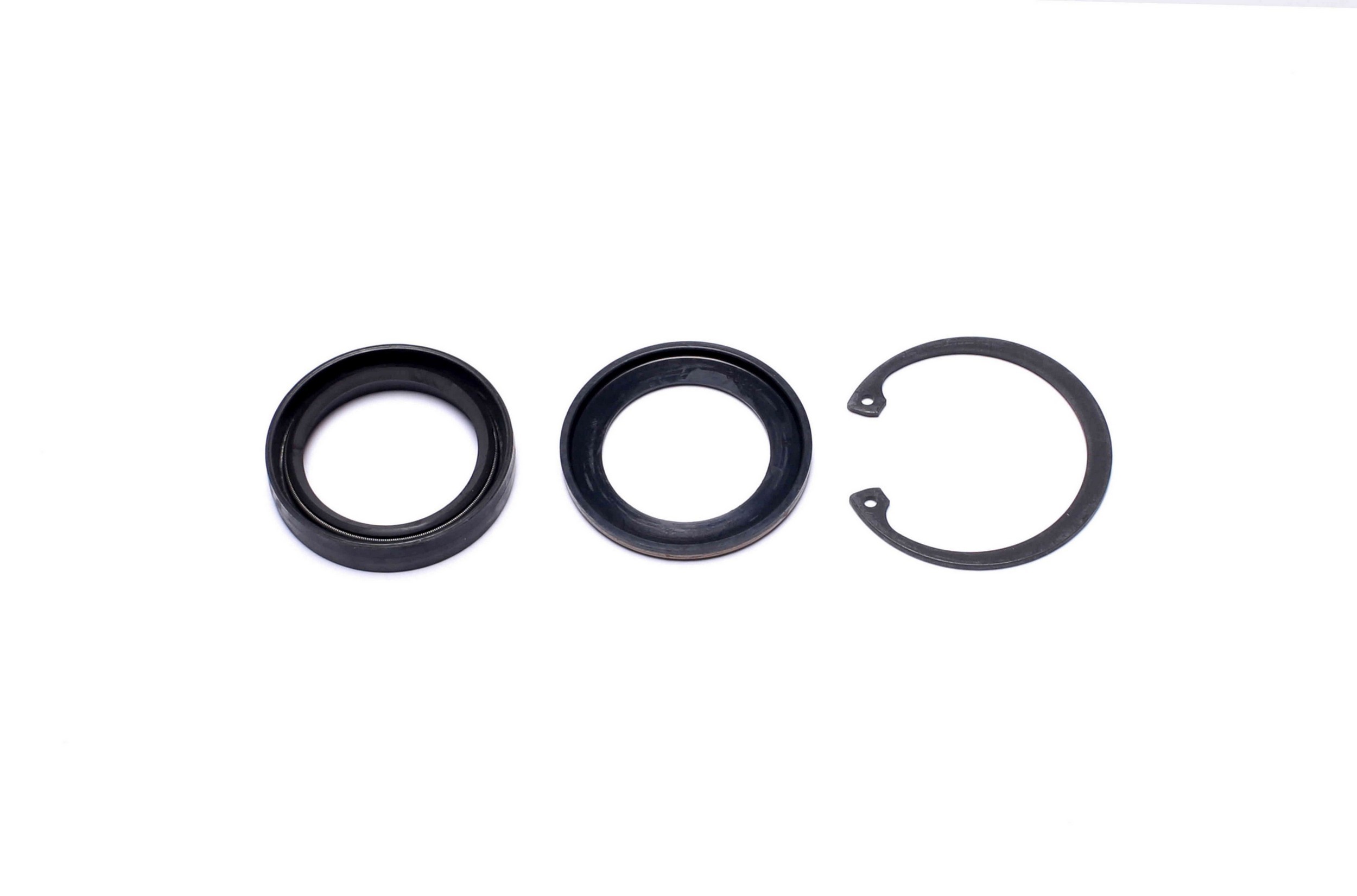 Steering Gear Pitman Shaft Seal Kit