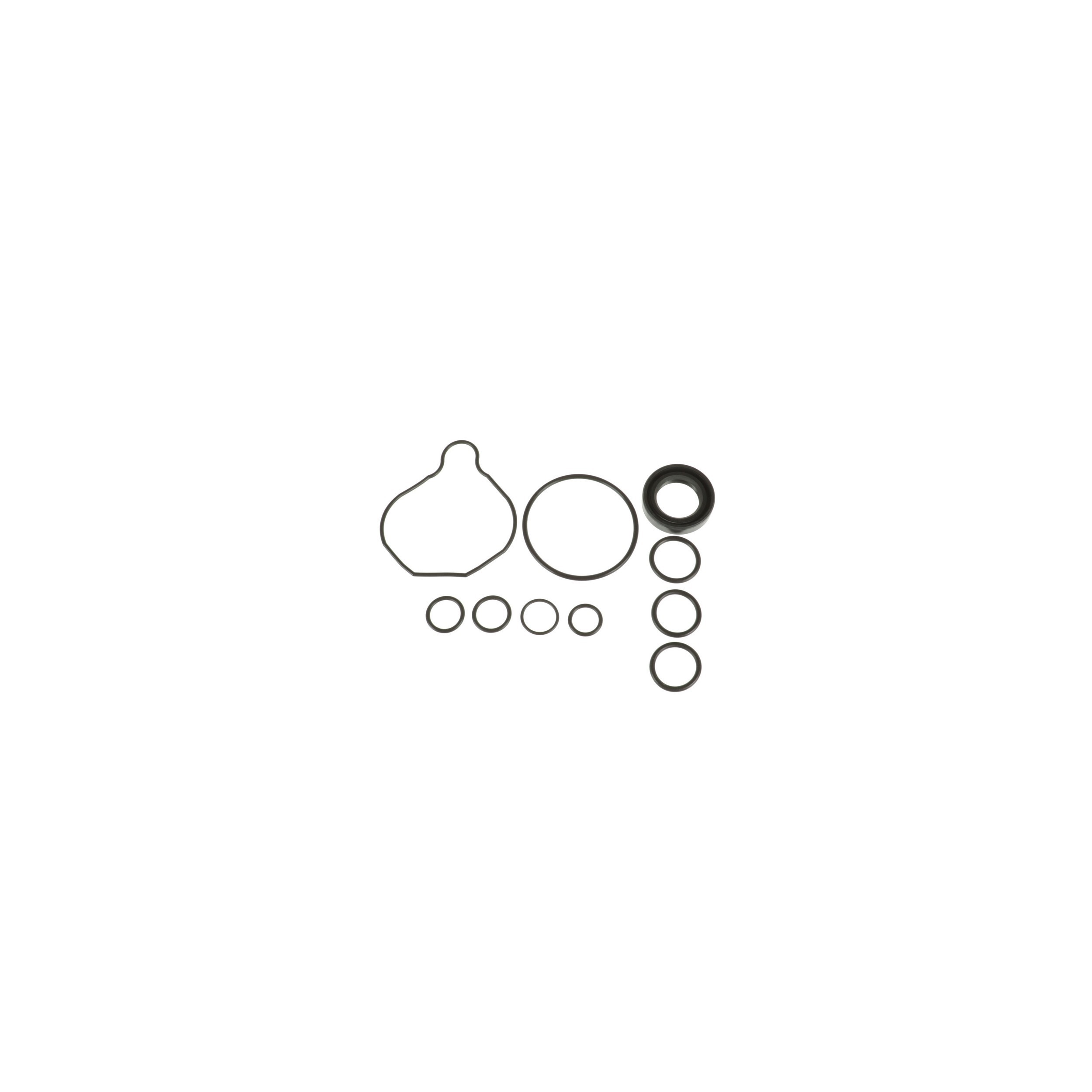 Power Steering Pump Seal Kit