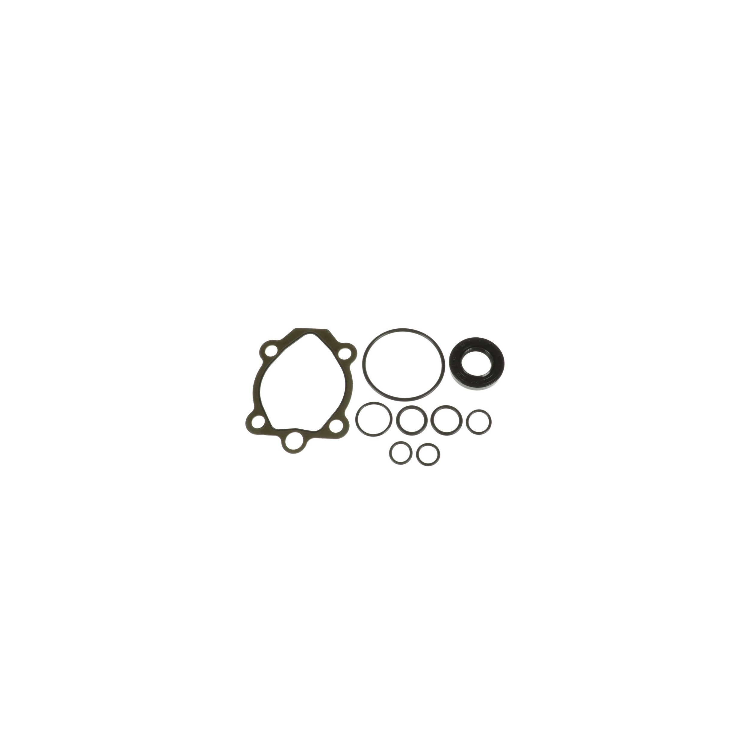 Power Steering Pump Seal Kit