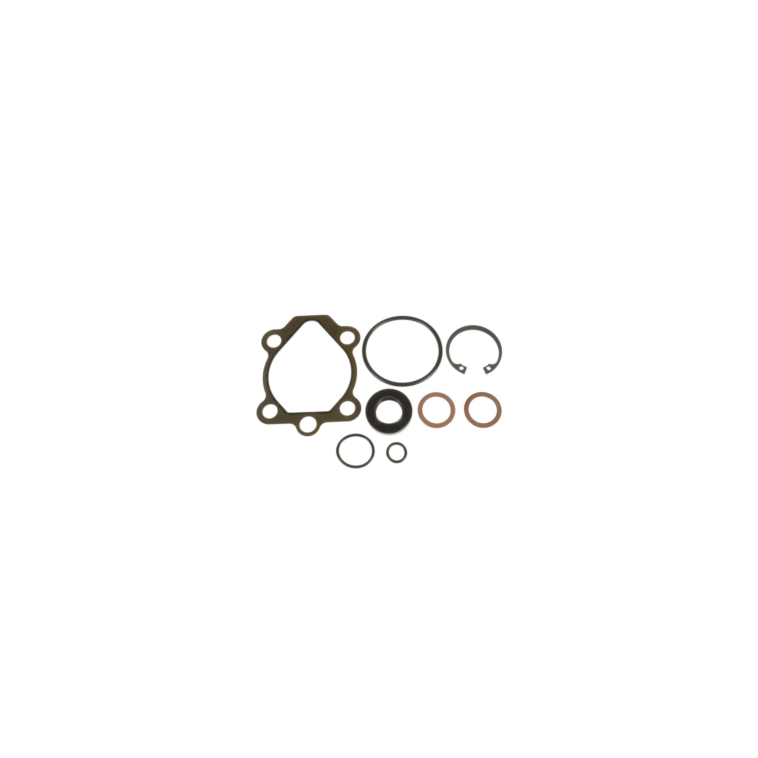 Power Steering Pump Seal Kit