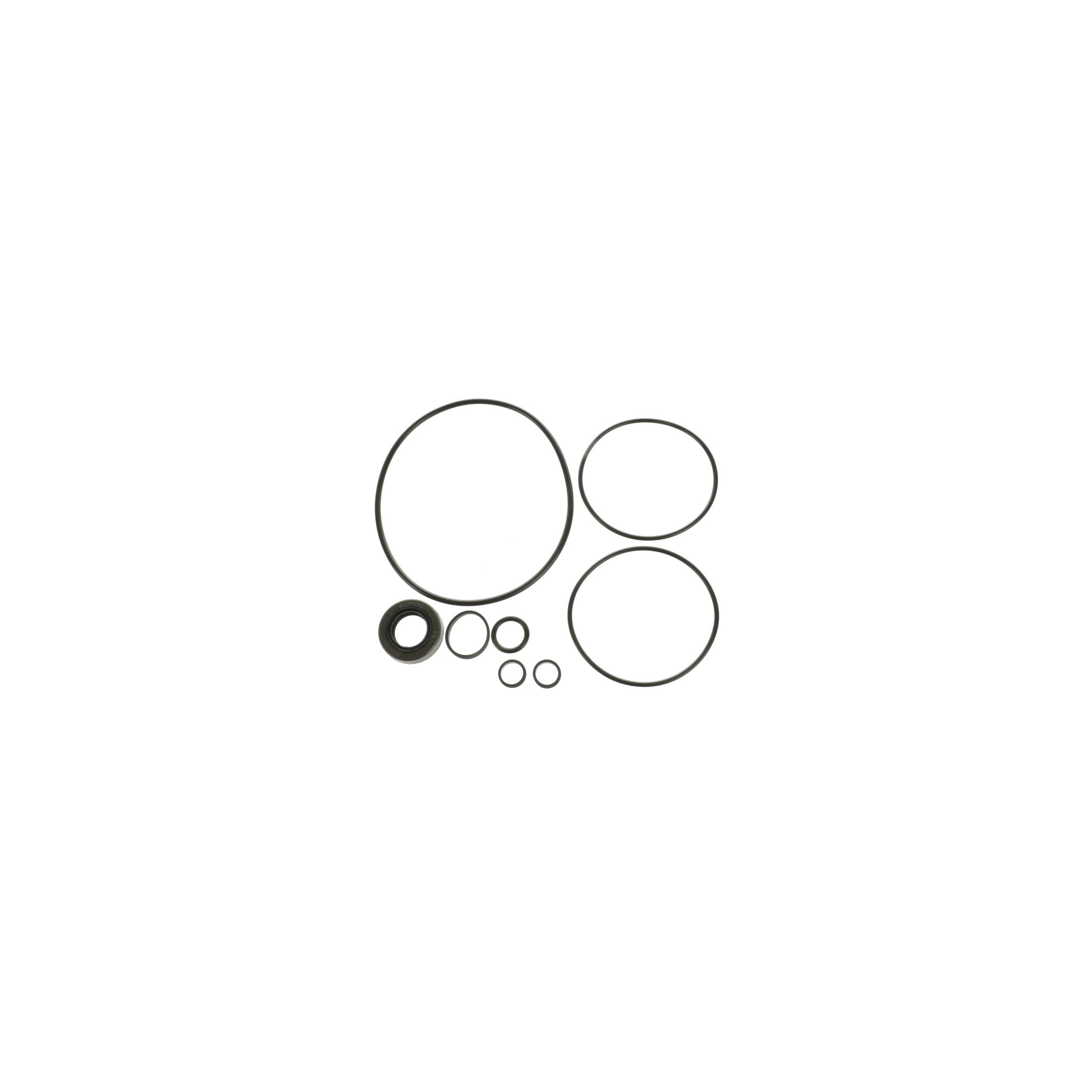 Power Steering Pump Seal Kit