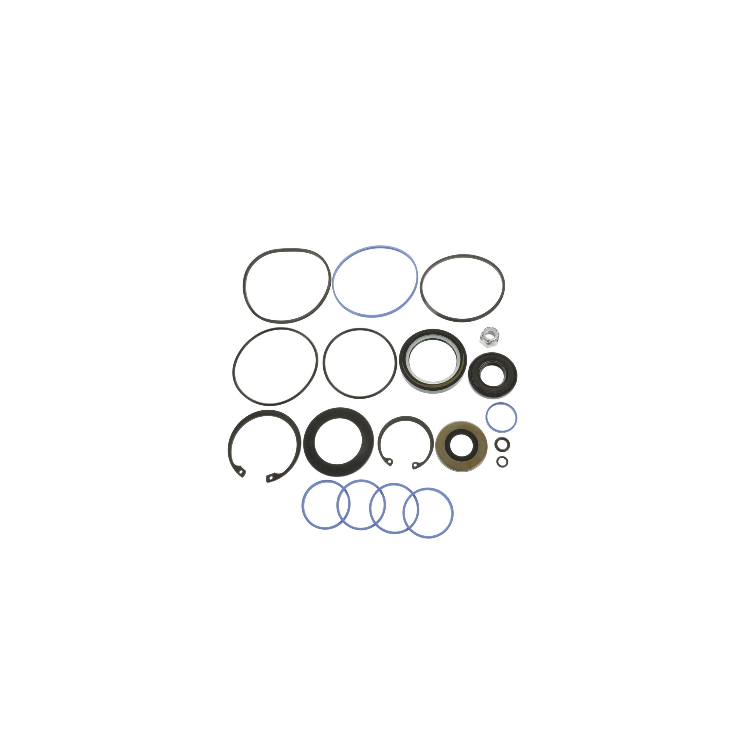 Steering Gear Seal Kit