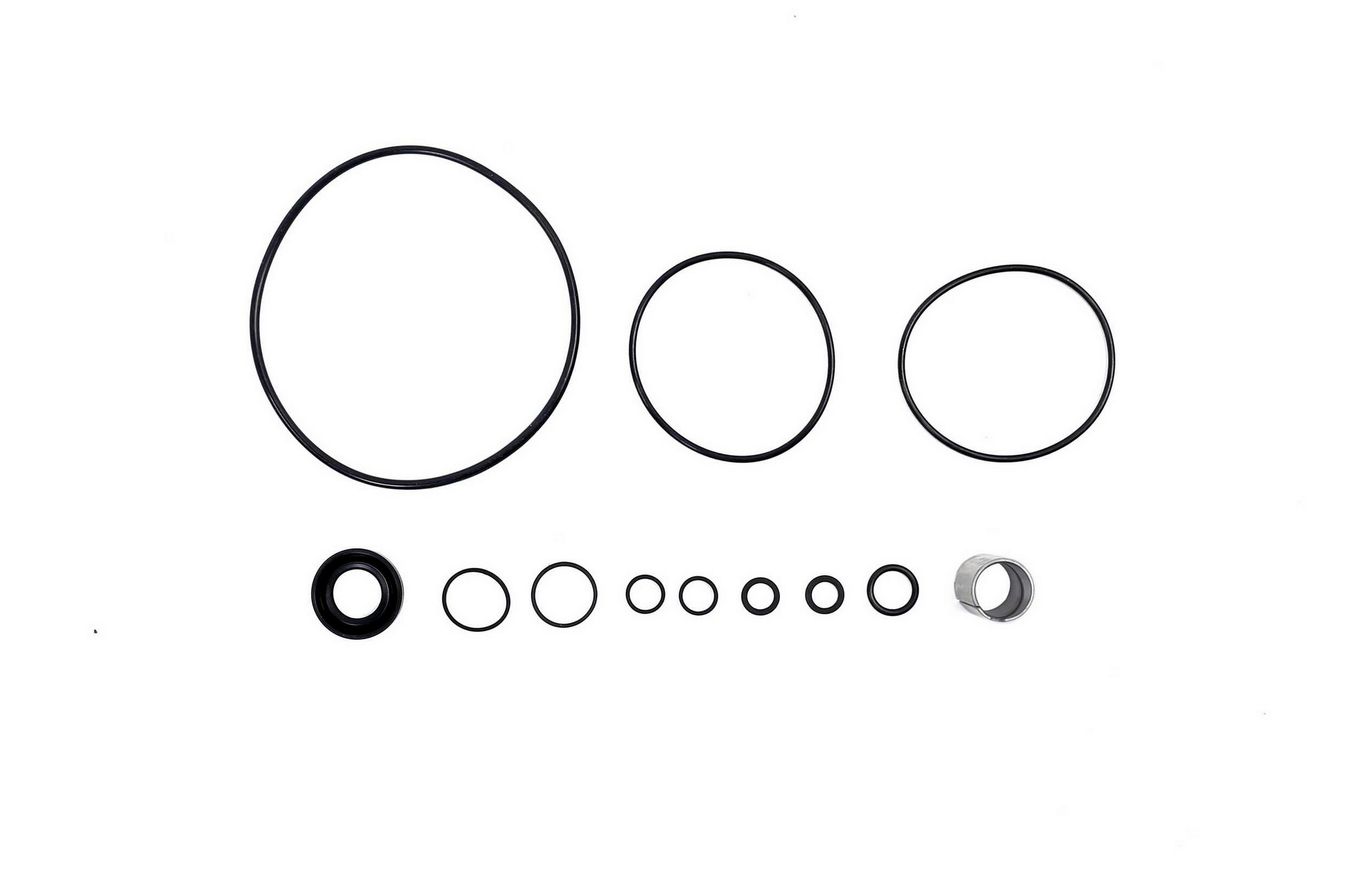 Power Steering Pump Rebuild Kit