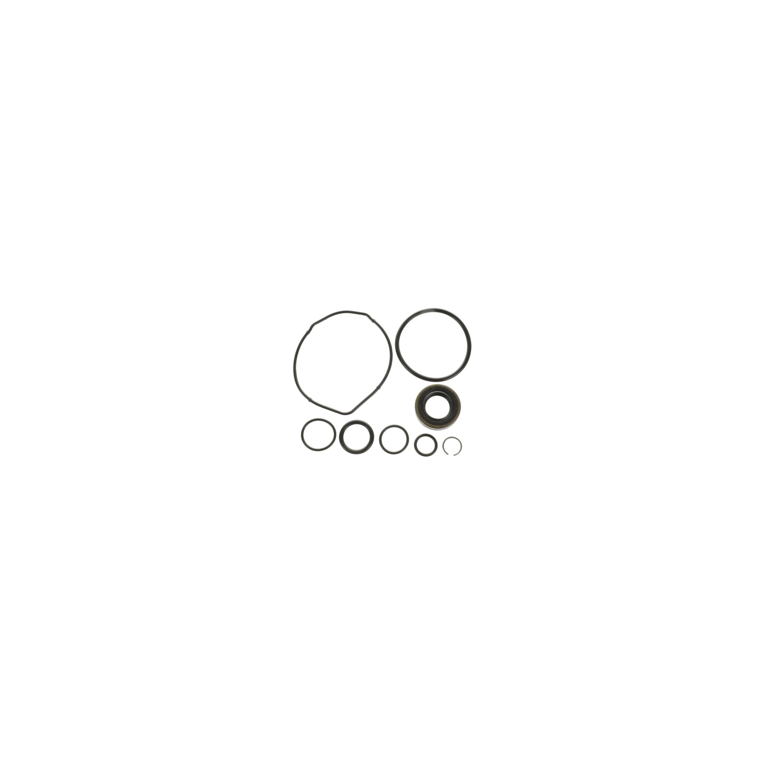 Power Steering Pump Seal Kit