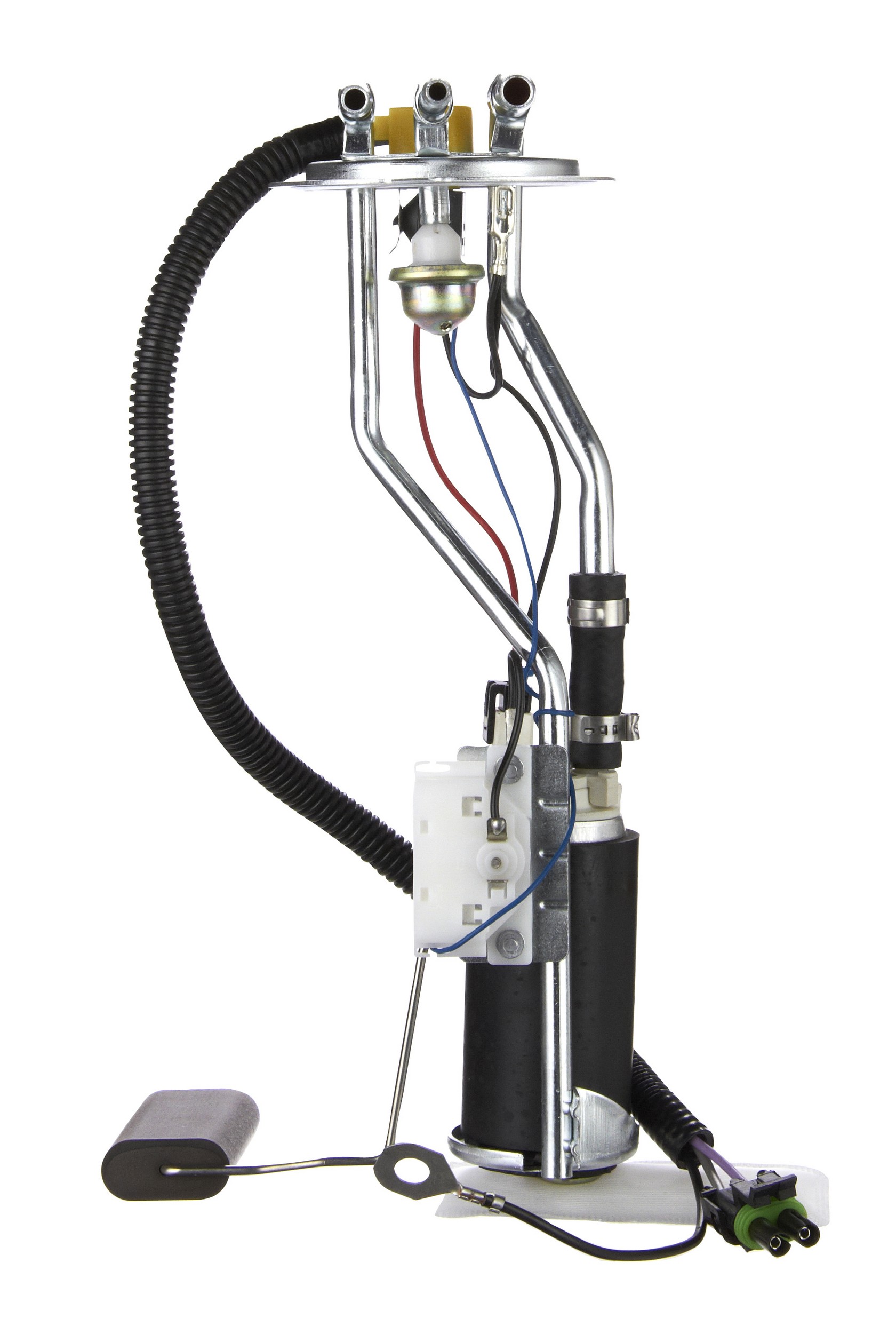 Fuel Pump and Sender Assembly