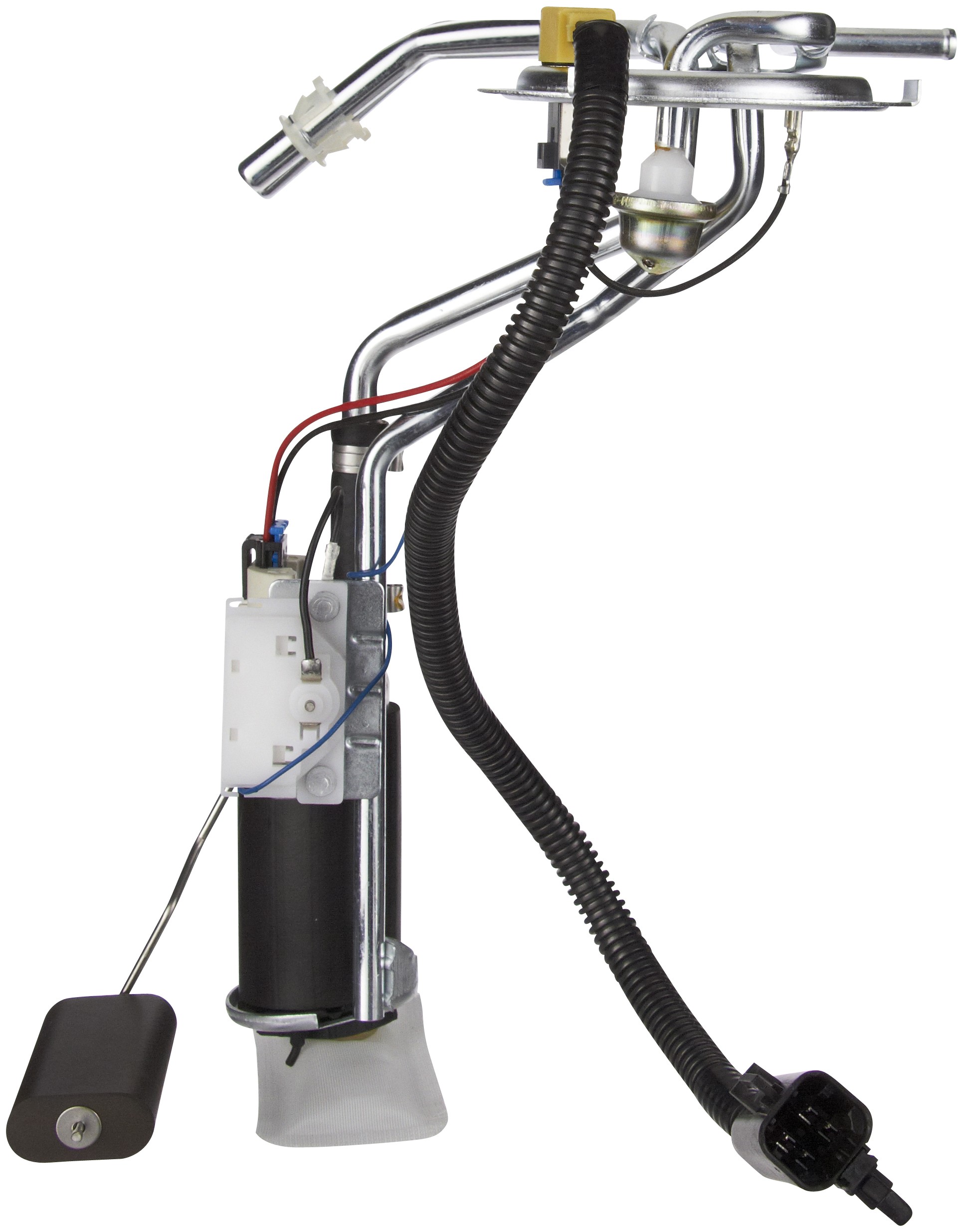 Fuel Pump and Sender Assembly