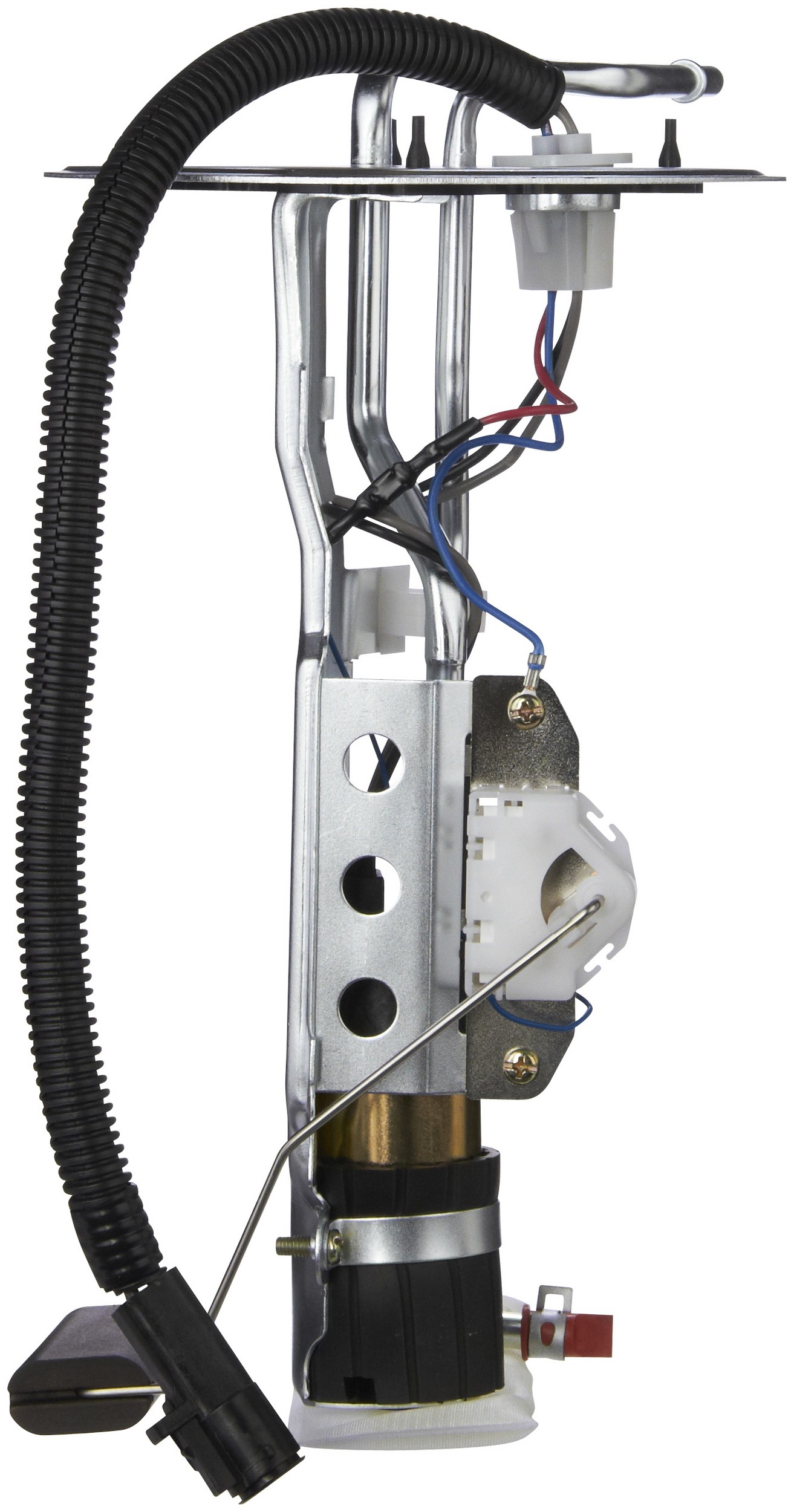 Fuel Pump and Sender Assembly