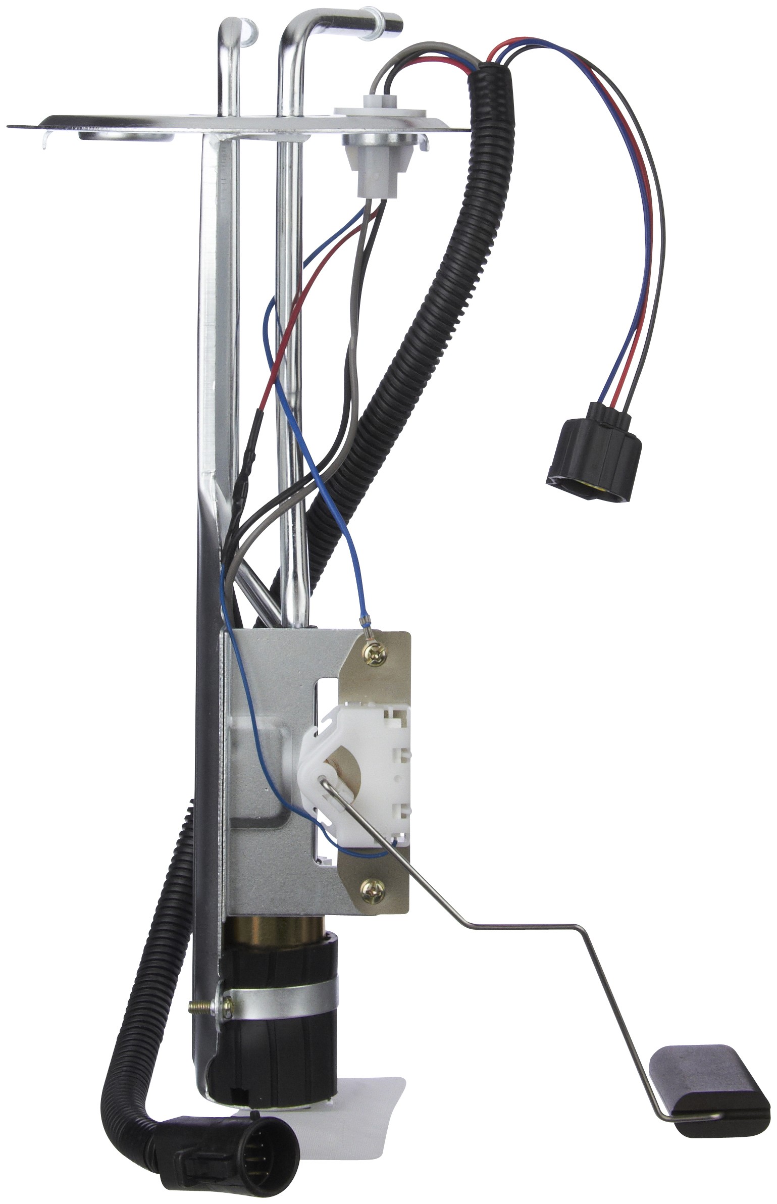Fuel Pump and Sender Assembly