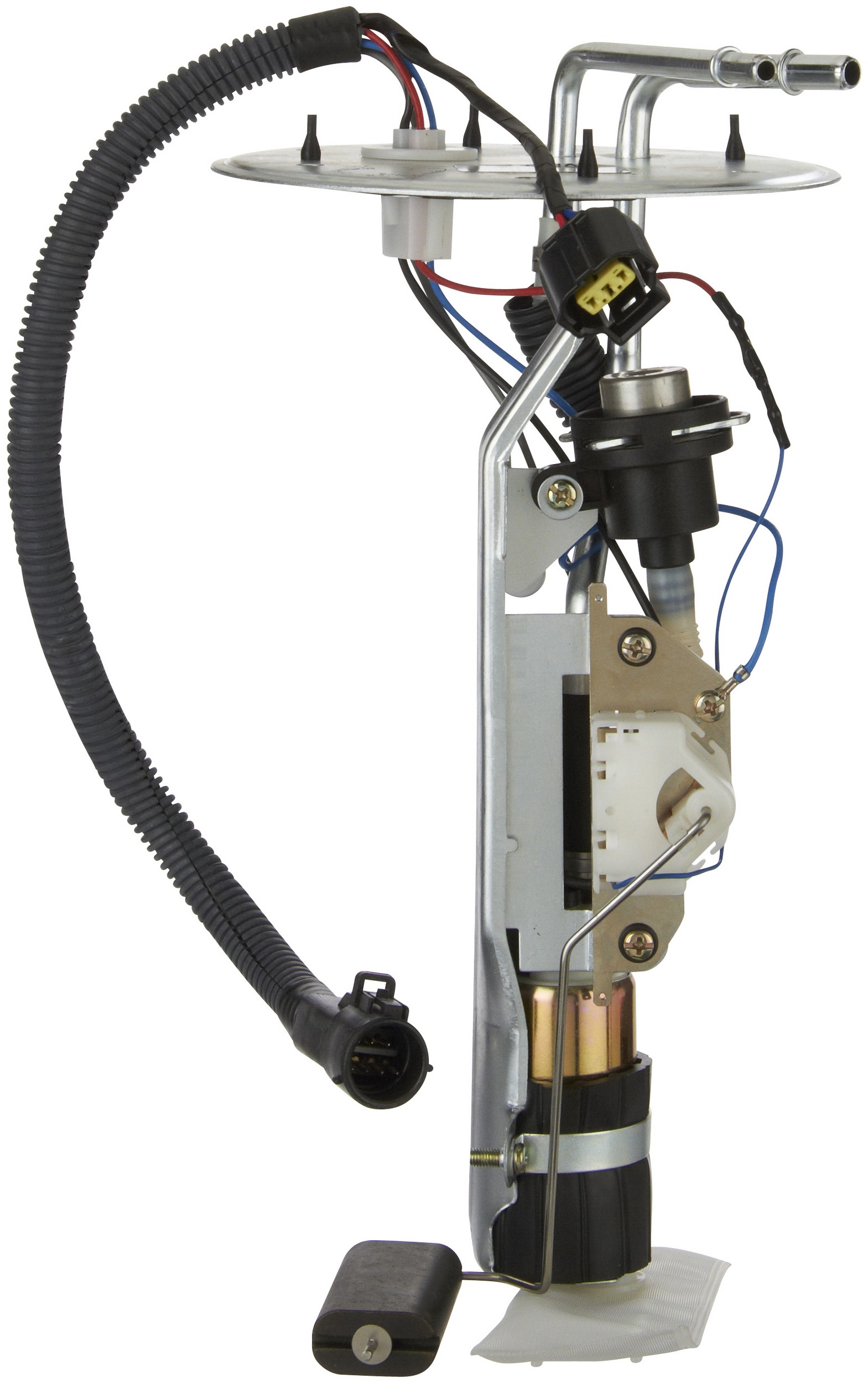 Fuel Pump and Sender Assembly