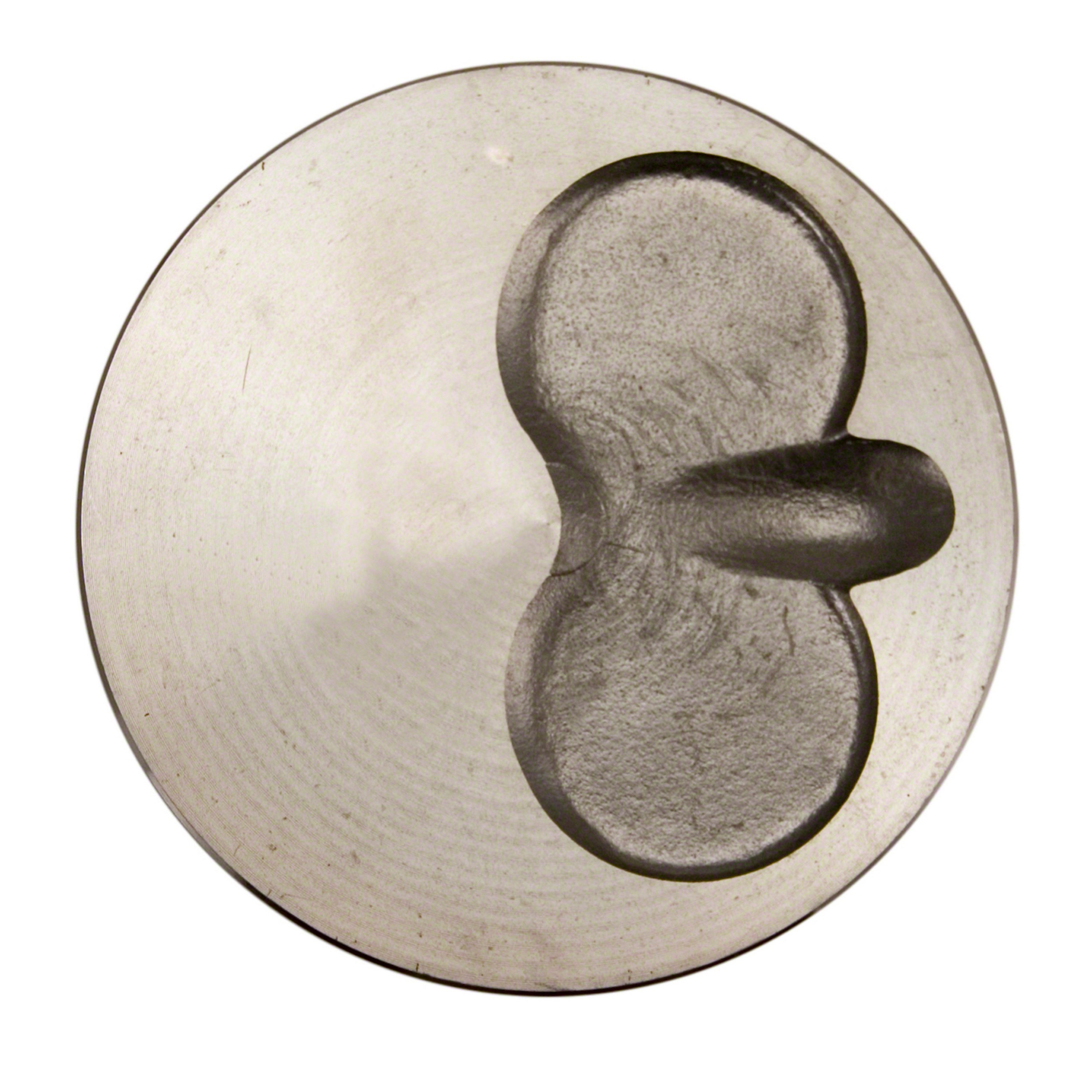 Engine Piston Set