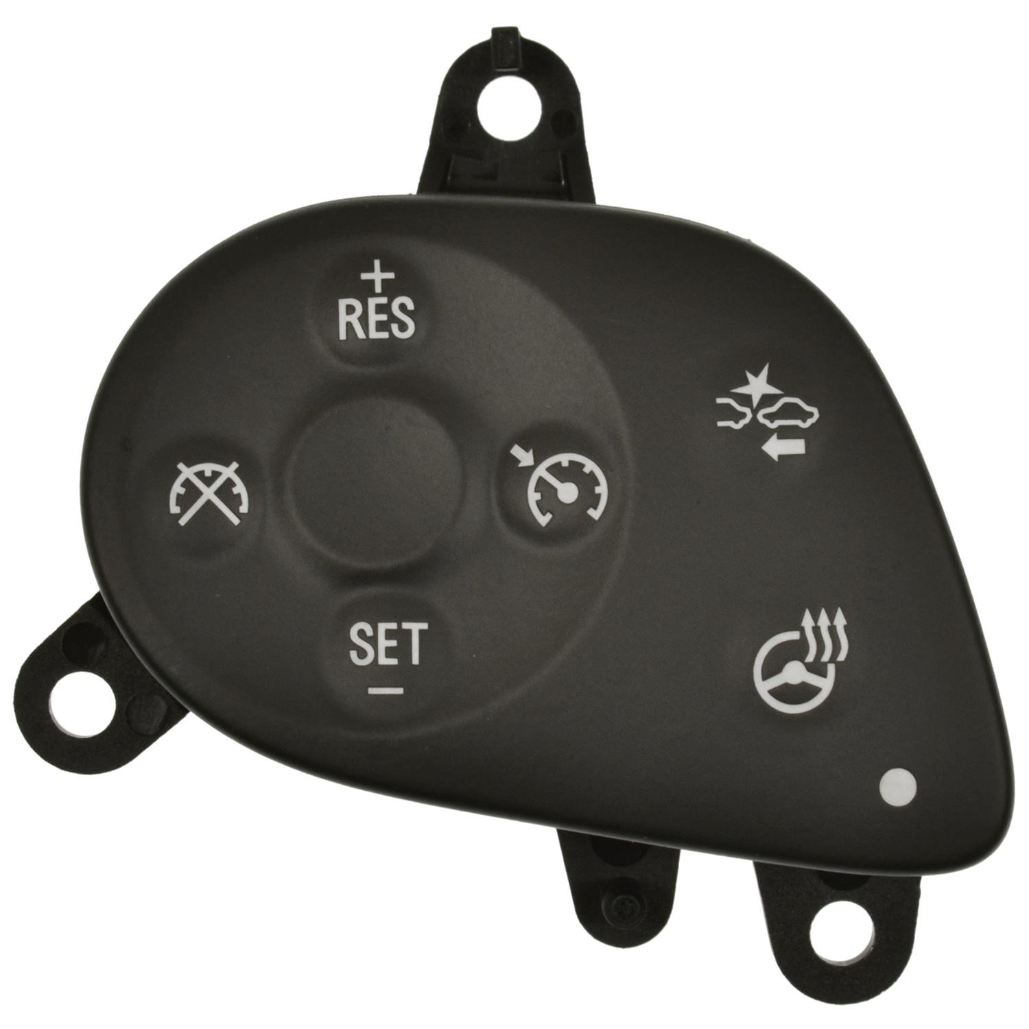 Cruise Control Switch