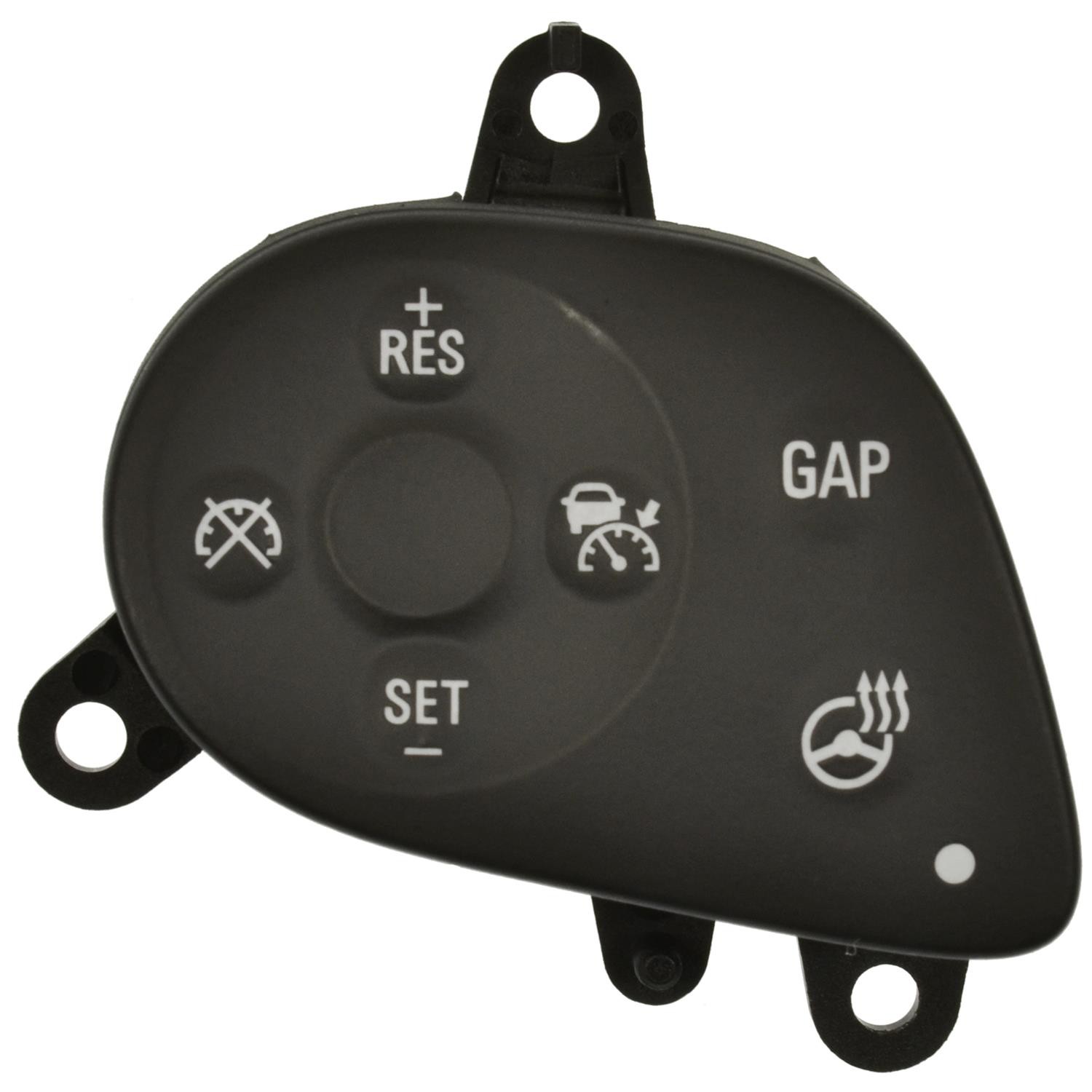 Cruise Control Switch
