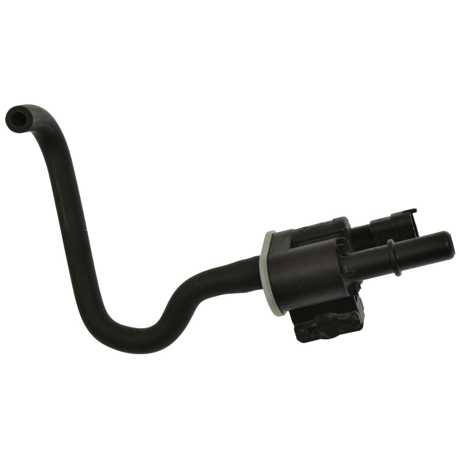 Canister Purge Valve