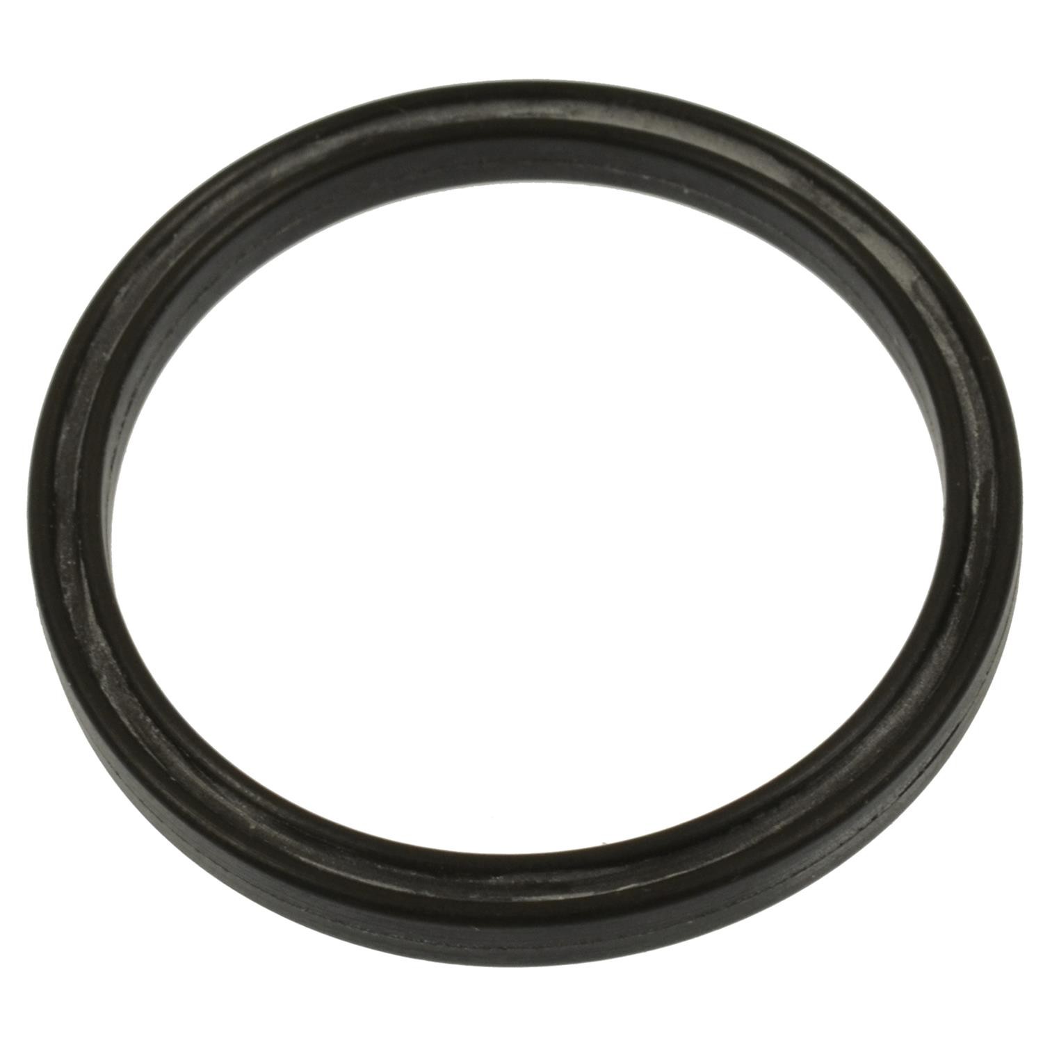 Fuel Vapor Canister Seal