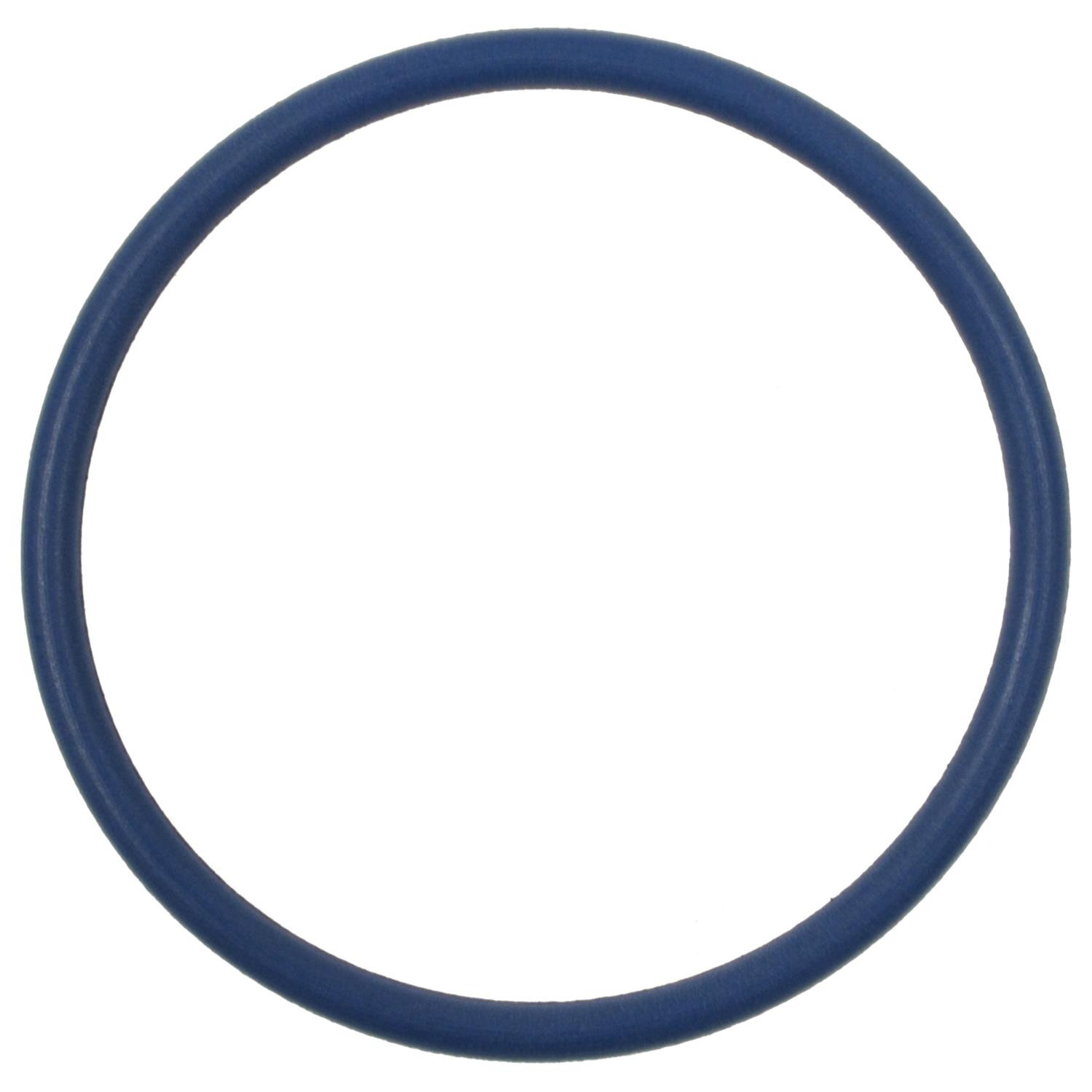 Fuel Pump O-Ring