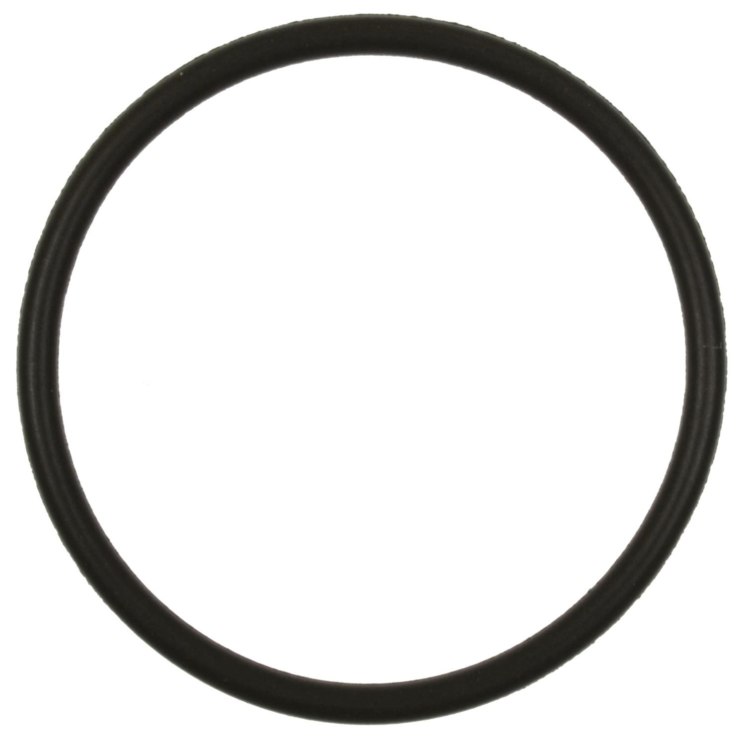 Fuel Pump O-Ring