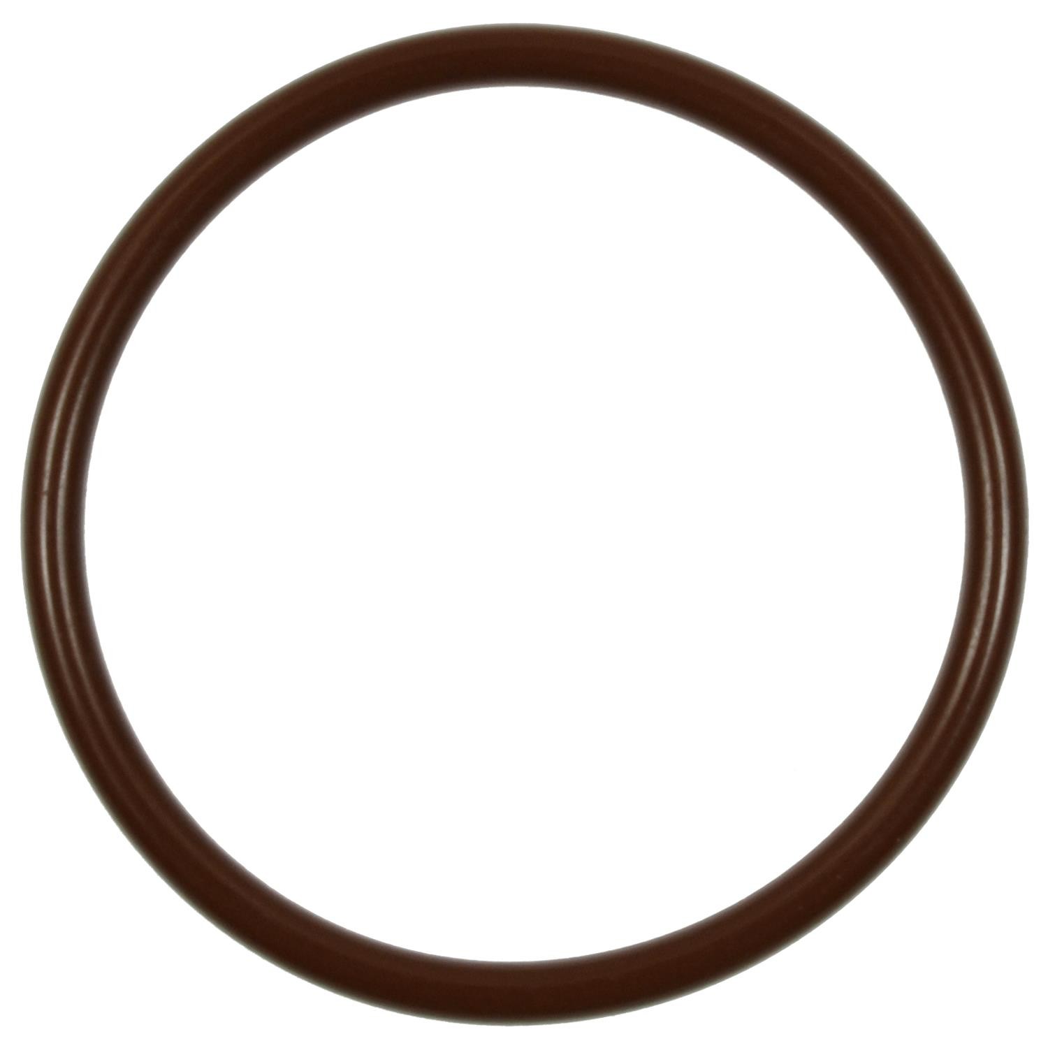 Fuel Pump O-Ring