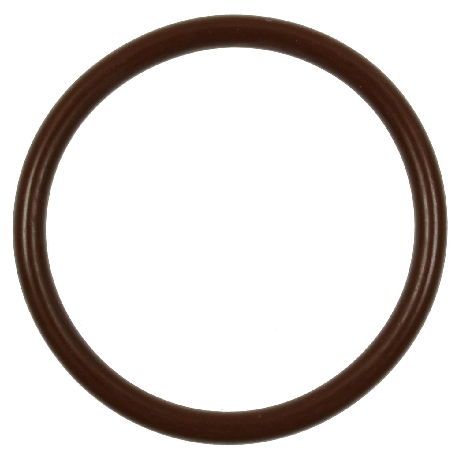 Fuel Pump O-Ring