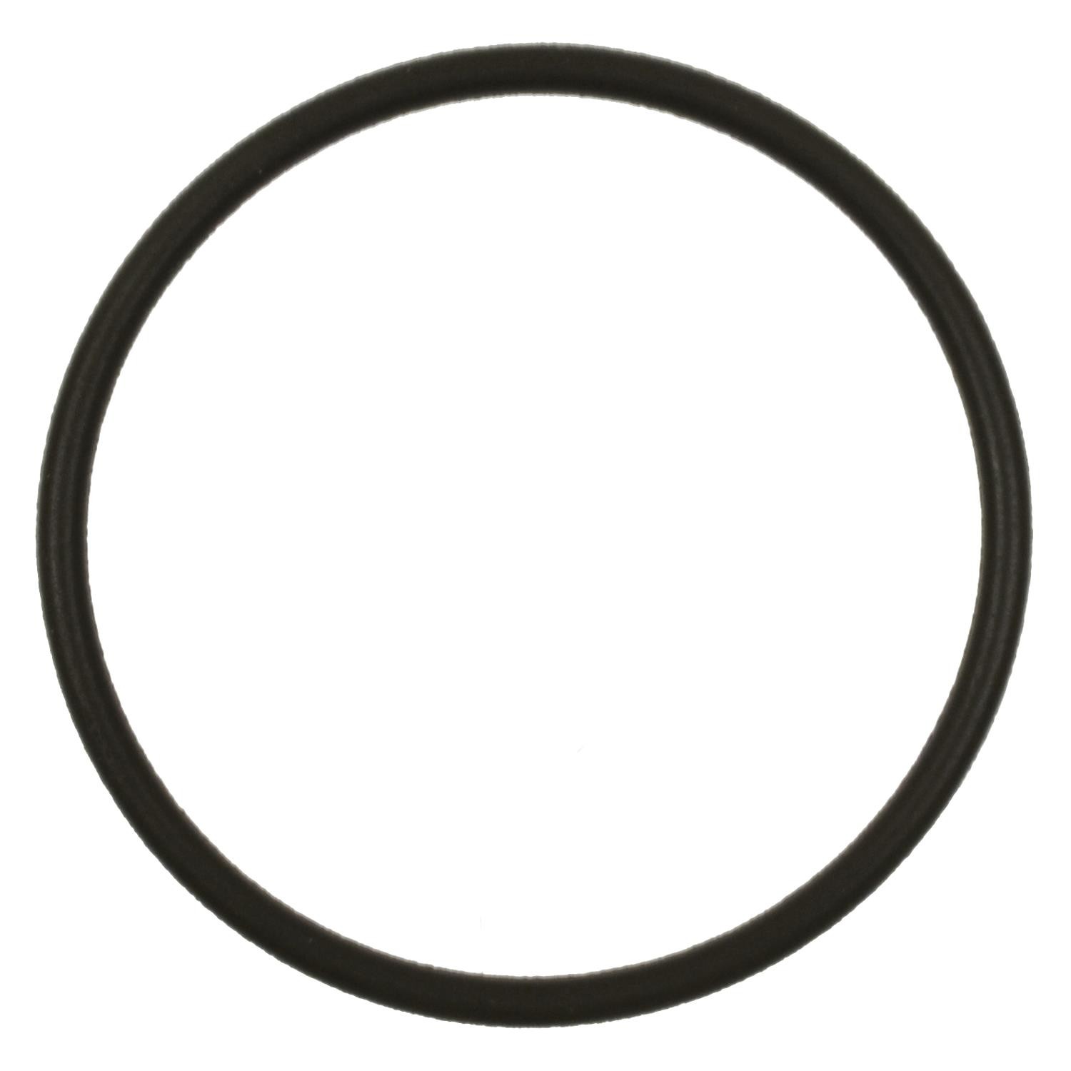 Fuel Pump O-Ring