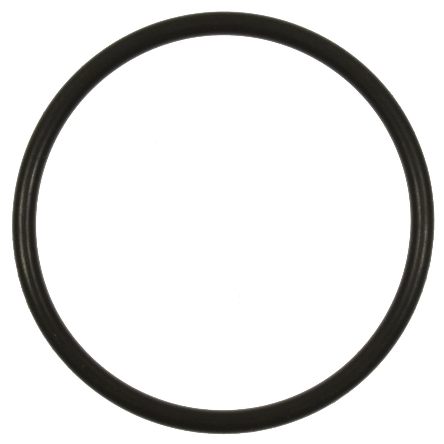 Fuel Pump O-Ring